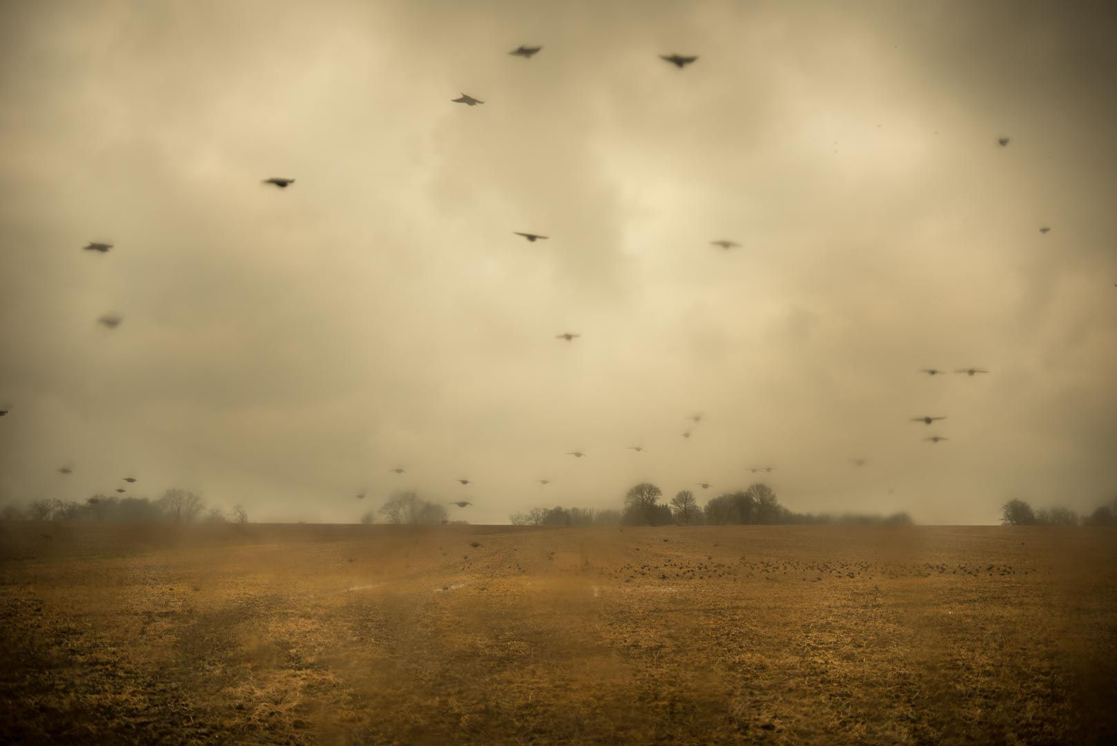 Untitled #11788-6176, 2020, archival pigment print, 38 x 57 inches