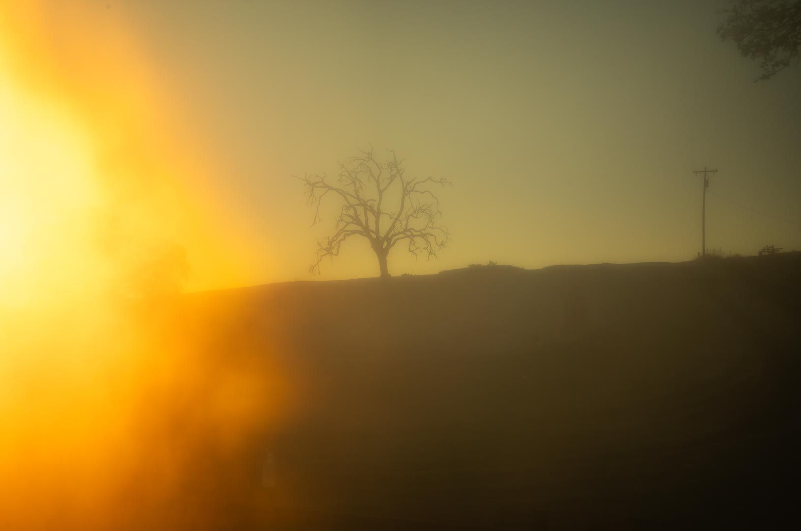 Untitled #12076-9547, 2020, archival pigment print, 30 x 45 inches