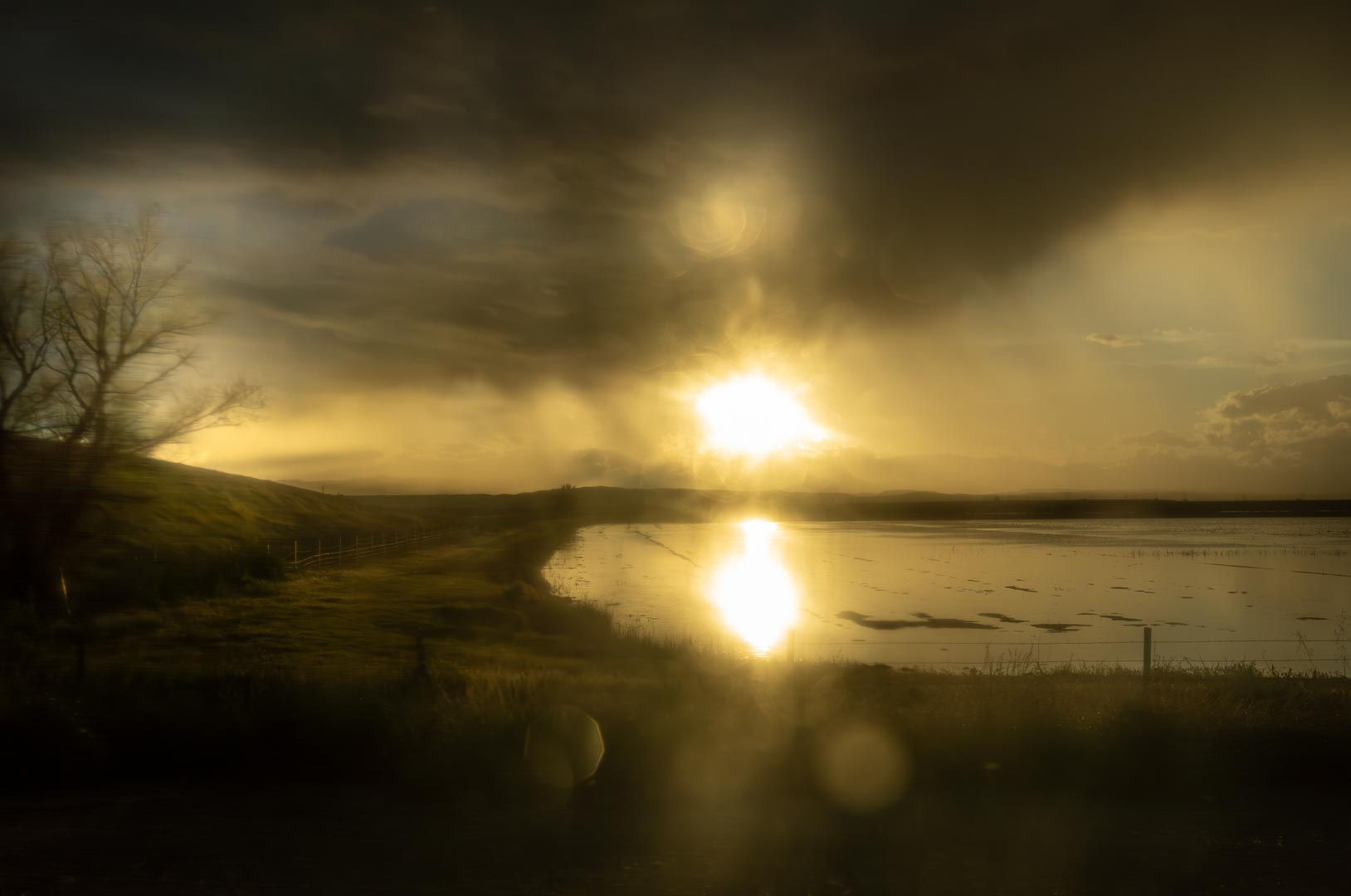 Untitled #12171-2747, 2023, archival pigment print, 38 x 57 inches