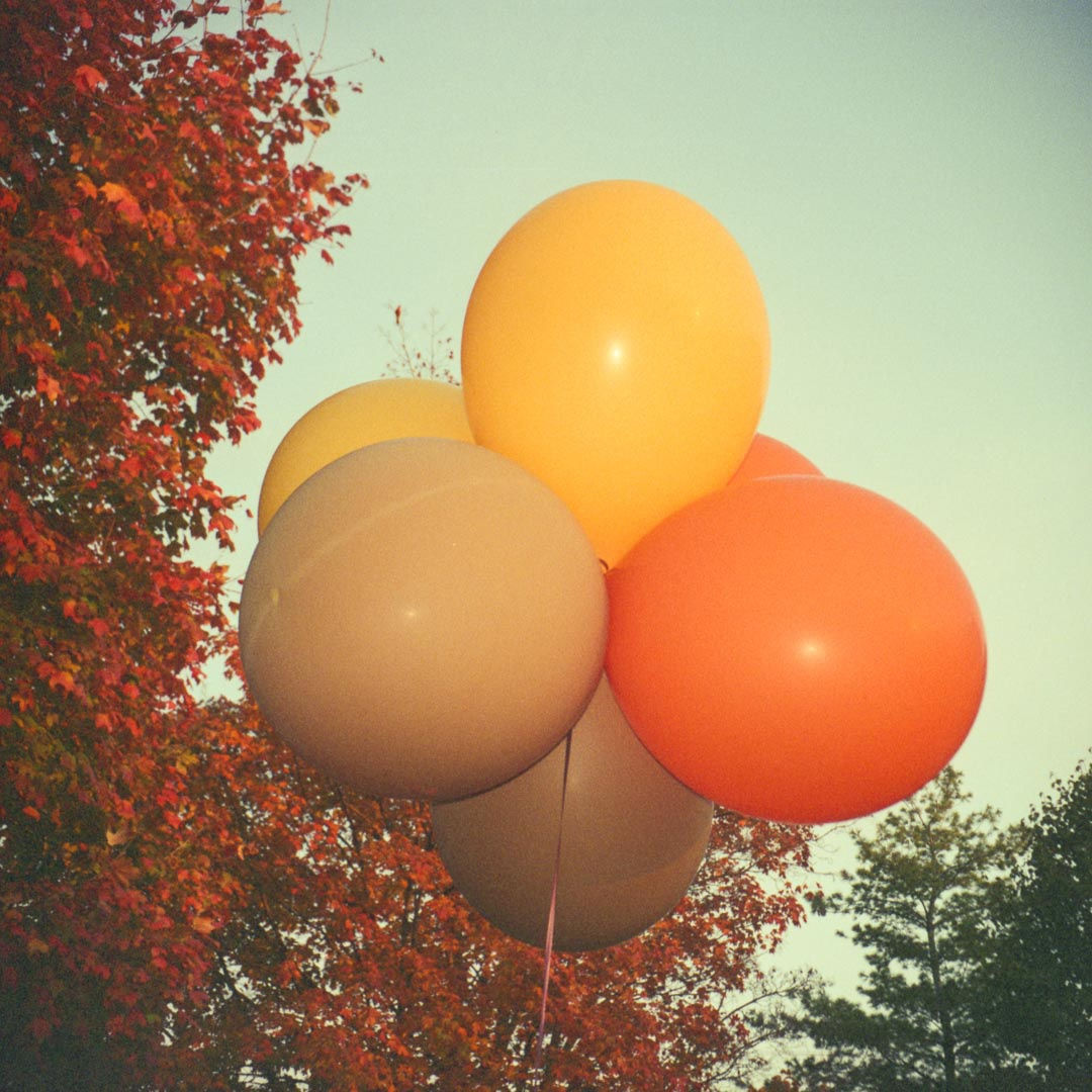 Untitled #7210-a, 2008, digital pigment print, 11 x 11 inches