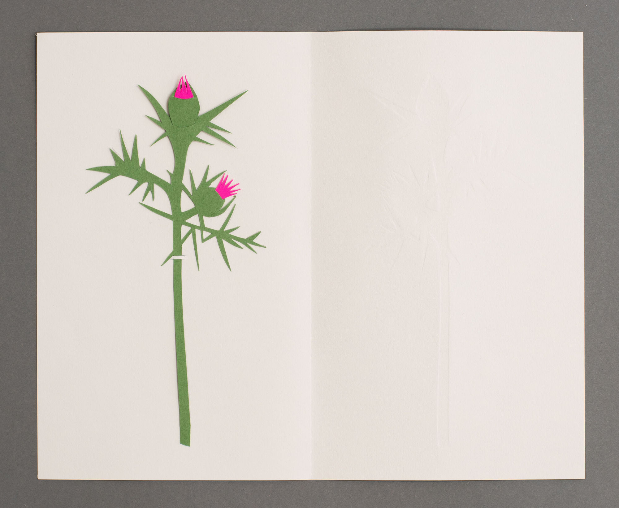 Efrat Hakimi Syrian Thistle, 2020 Paper 77⁄8 x 93⁄4 inches