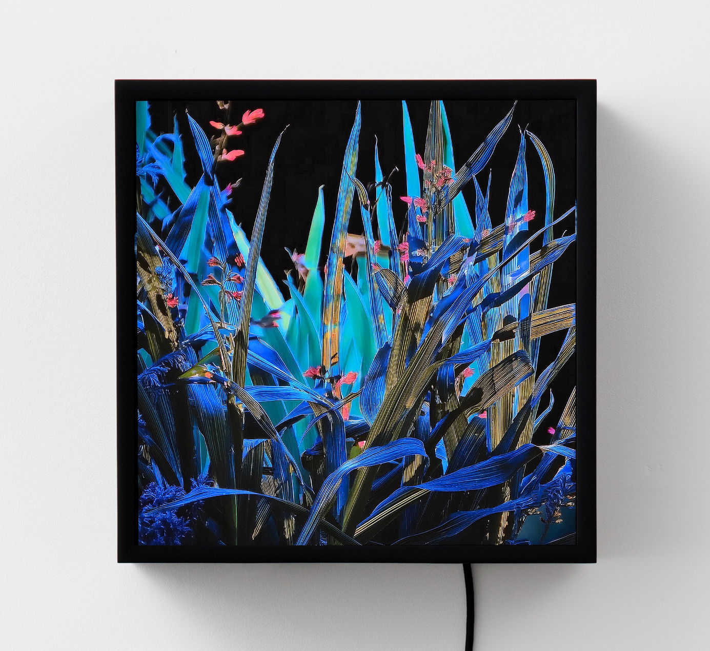 Surface / Signal : Owen Kydd and Kyle Tata