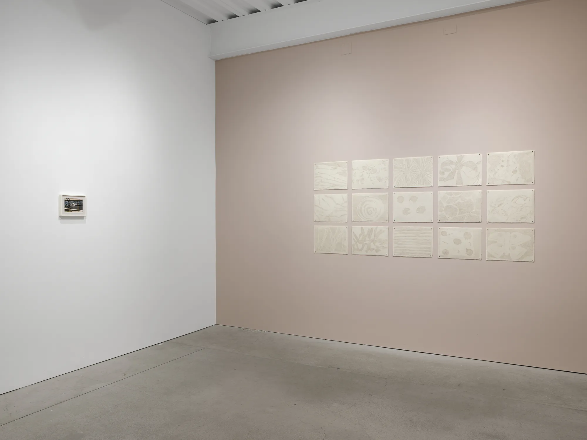 Luz Carabaño: pasajes