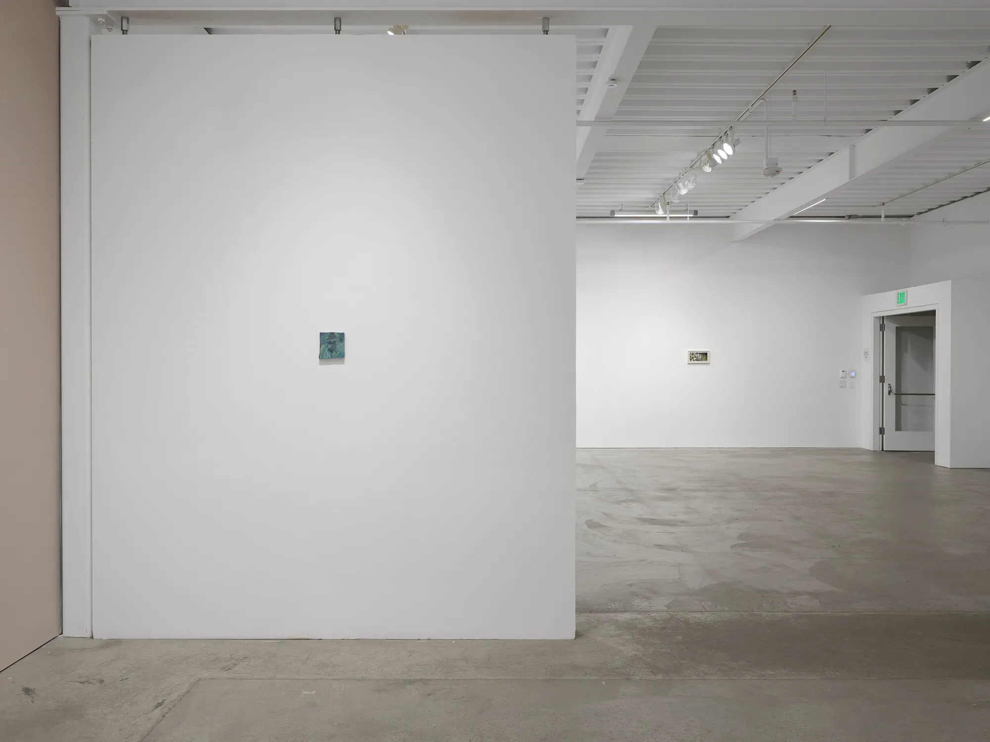 Luz Carabaño: pasajes