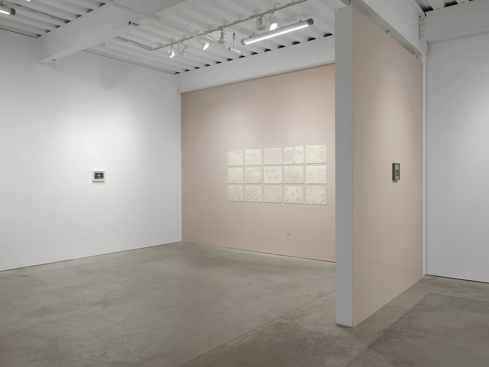 Luz Carabaño: pasajes