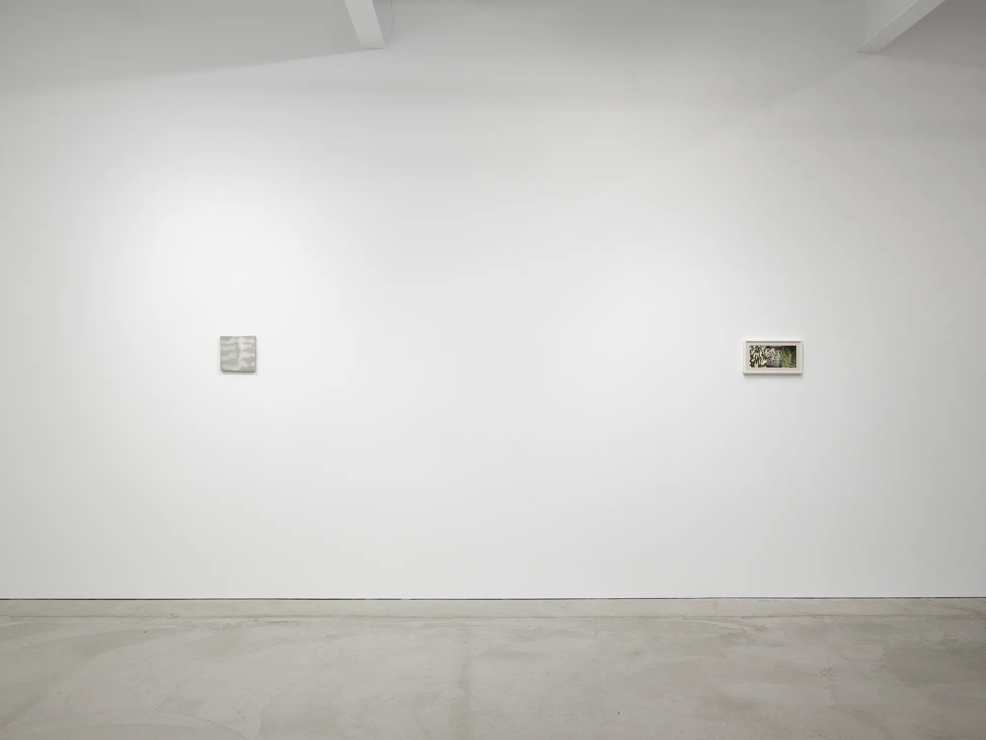 Luz Carabaño: pasajes