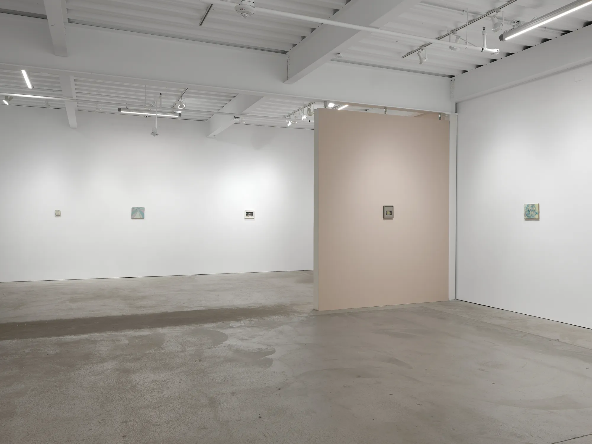 Luz Carabaño: pasajes