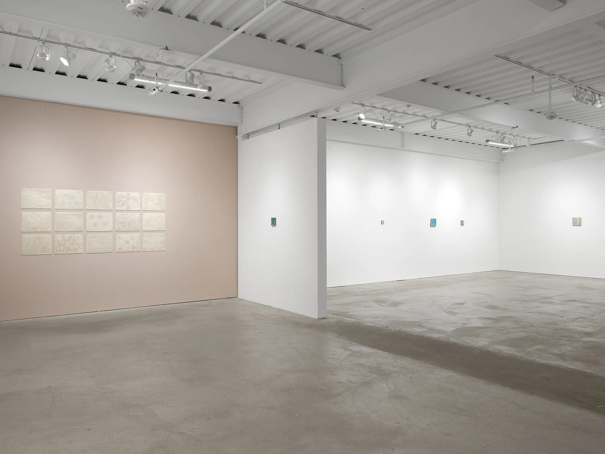 Luz Carabaño: pasajes