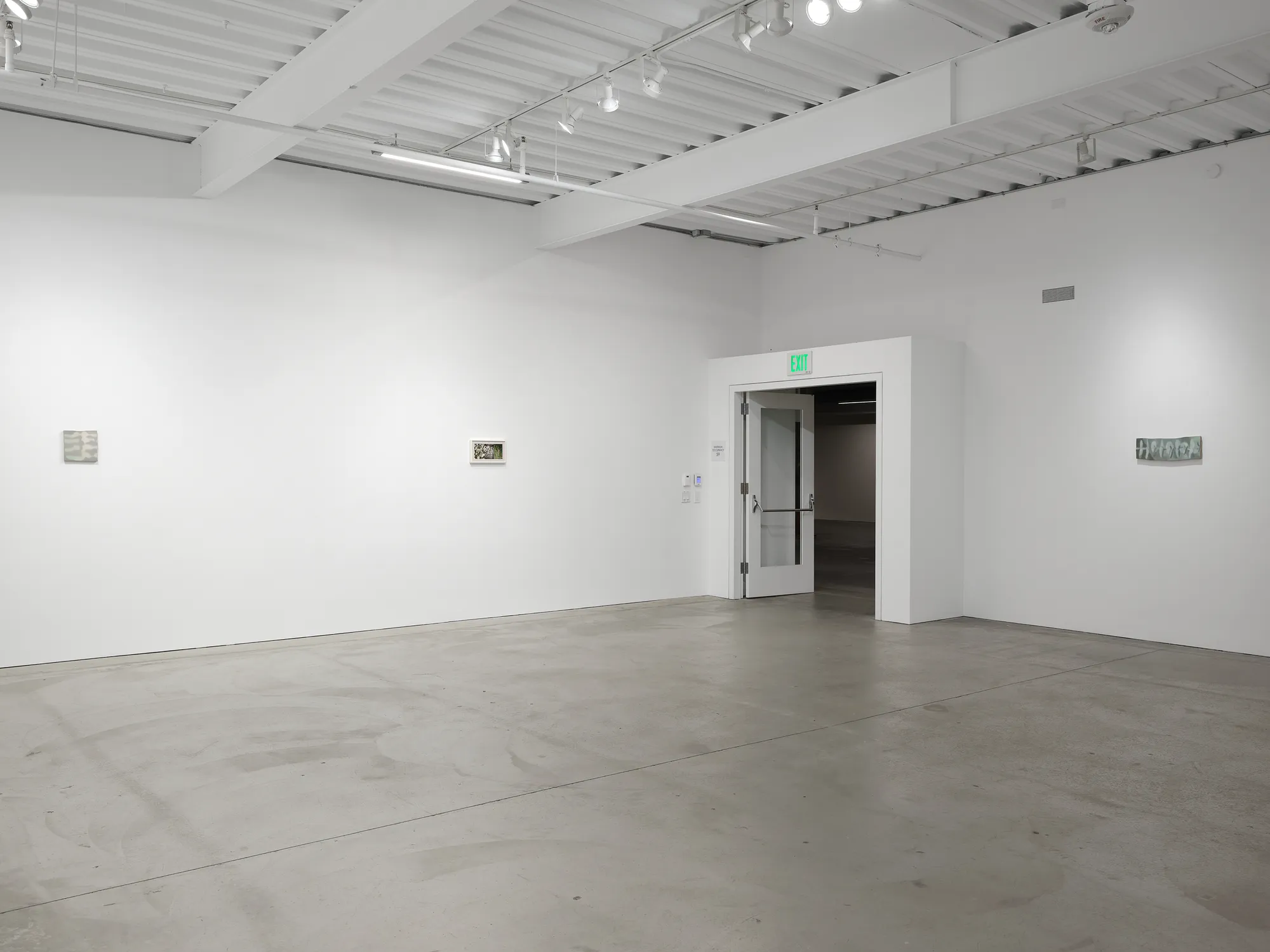 Luz Carabaño: pasajes