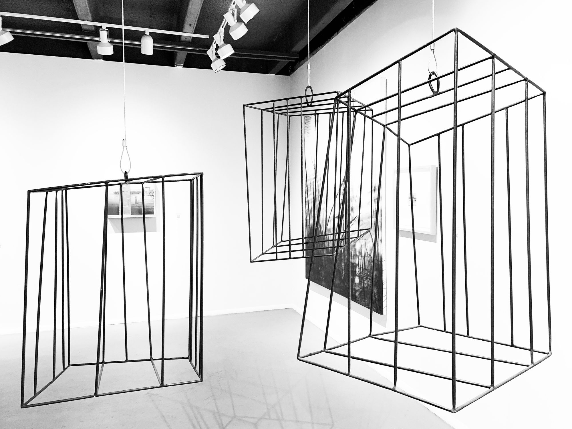 Freedom / Captivity Cages, 1999