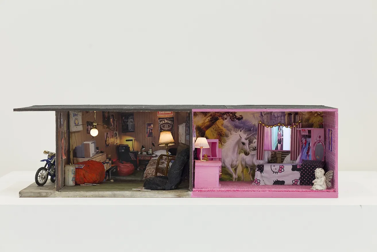 Tracey Snelling, Dude’s Room, Girl’s Room, 2017