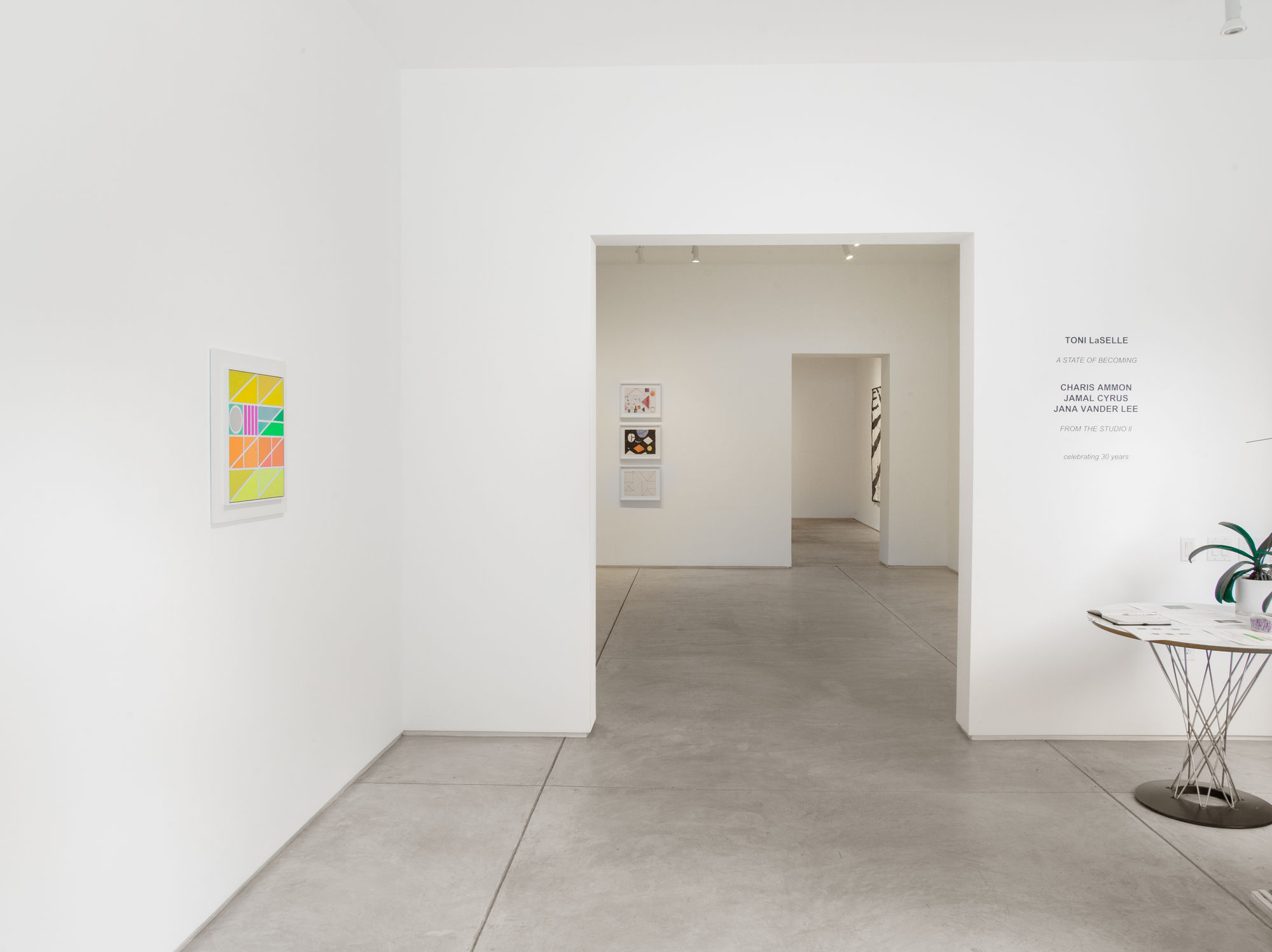 Toni LaSelle: A State of Becoming