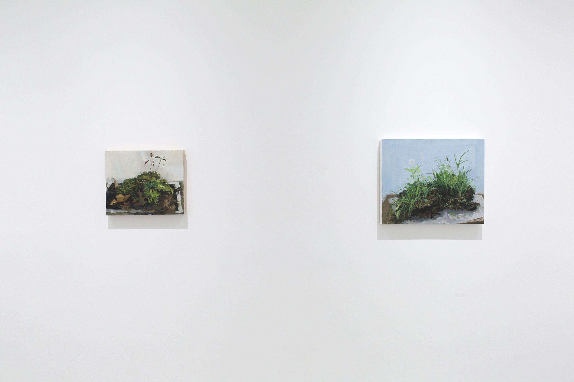 Kristin Musgnug: Disturbed Ground