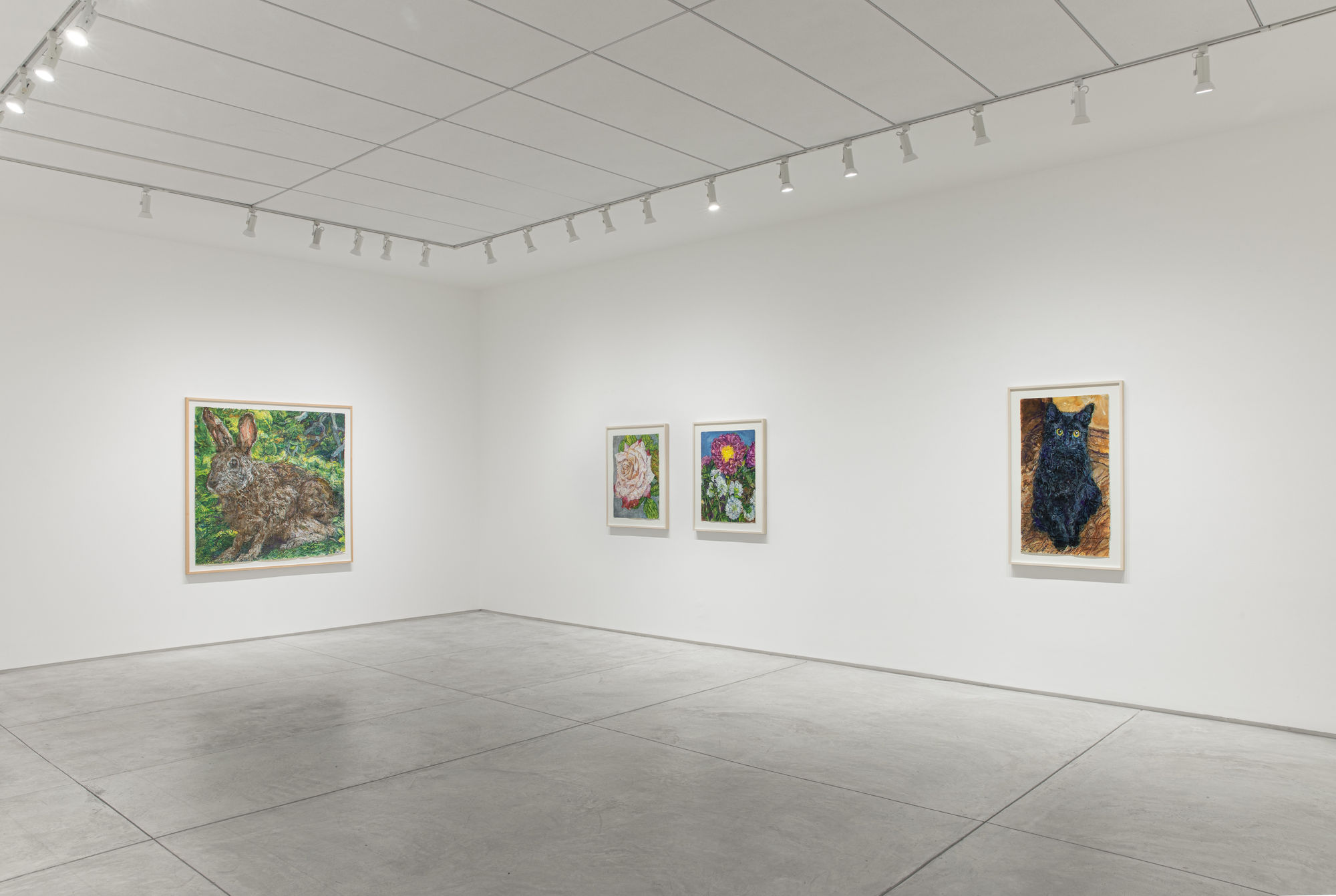 Beth Secor: The Solace Found in Sentience