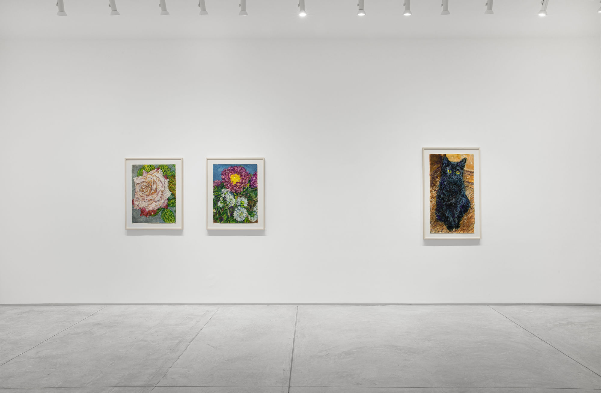 Beth Secor: The Solace Found in Sentience