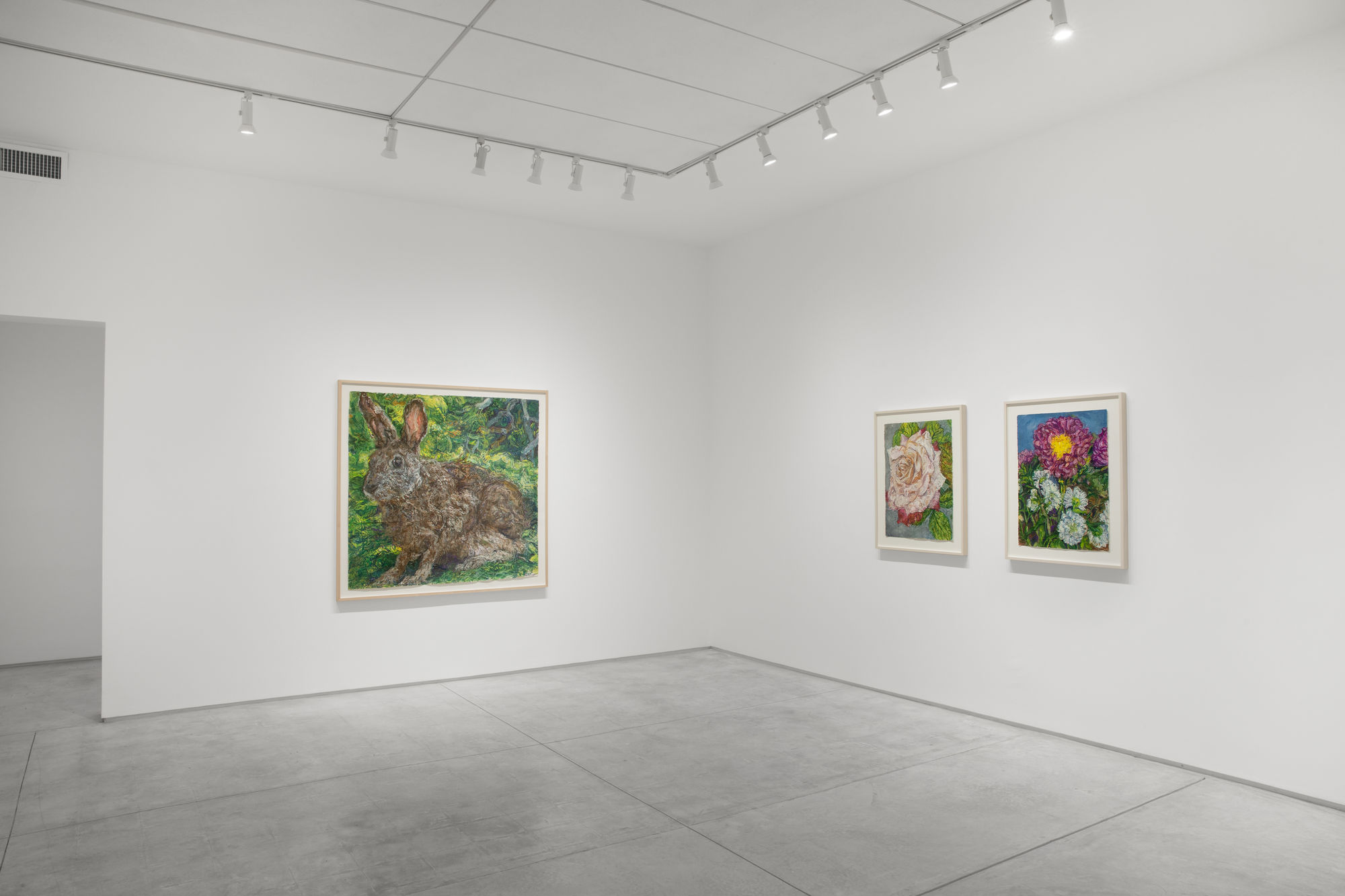 Beth Secor: The Solace Found in Sentience