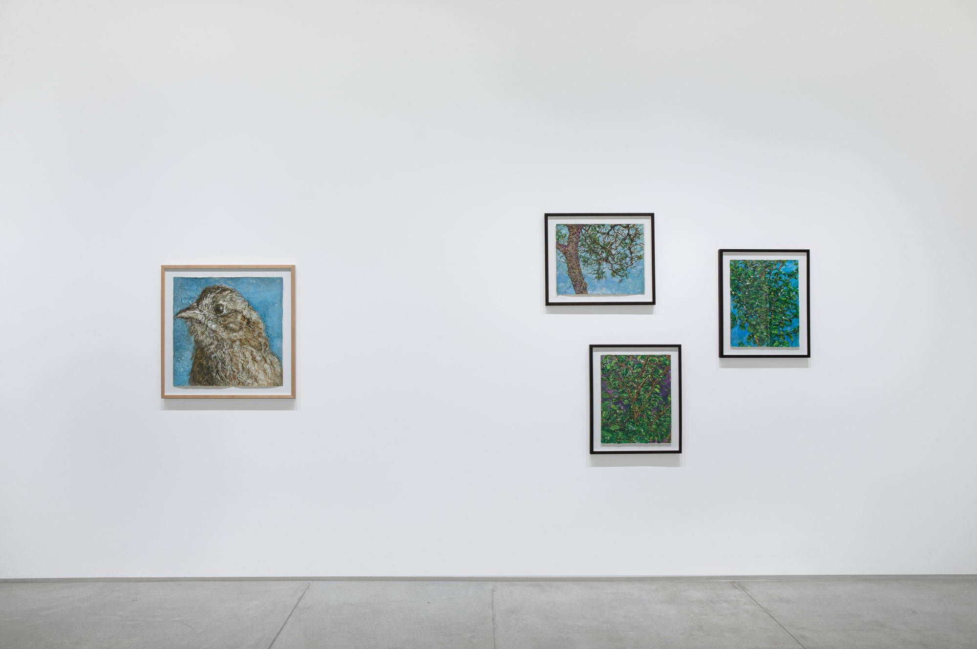 Beth Secor: The Solace Found in Sentience