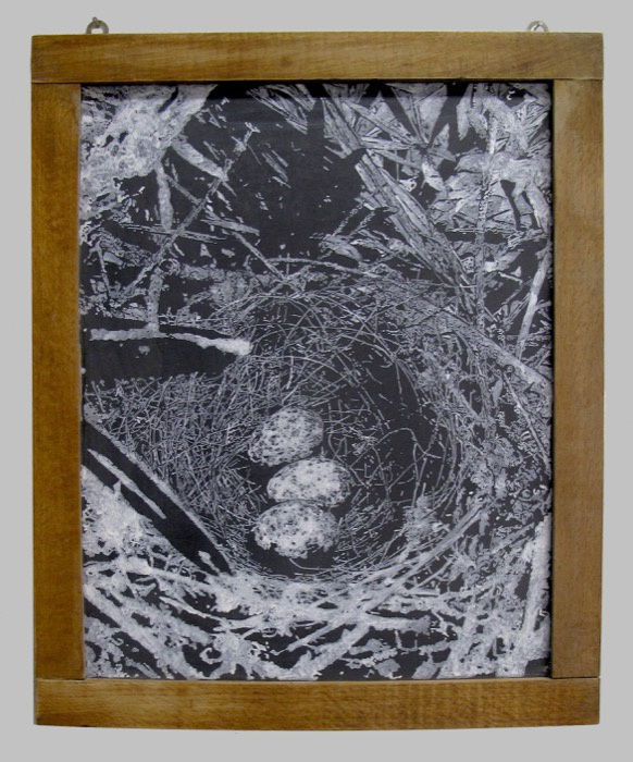 Helen Altman, Nest 19, 2020 acrylic on slate chalkboard, 15 1/2 x 12 in