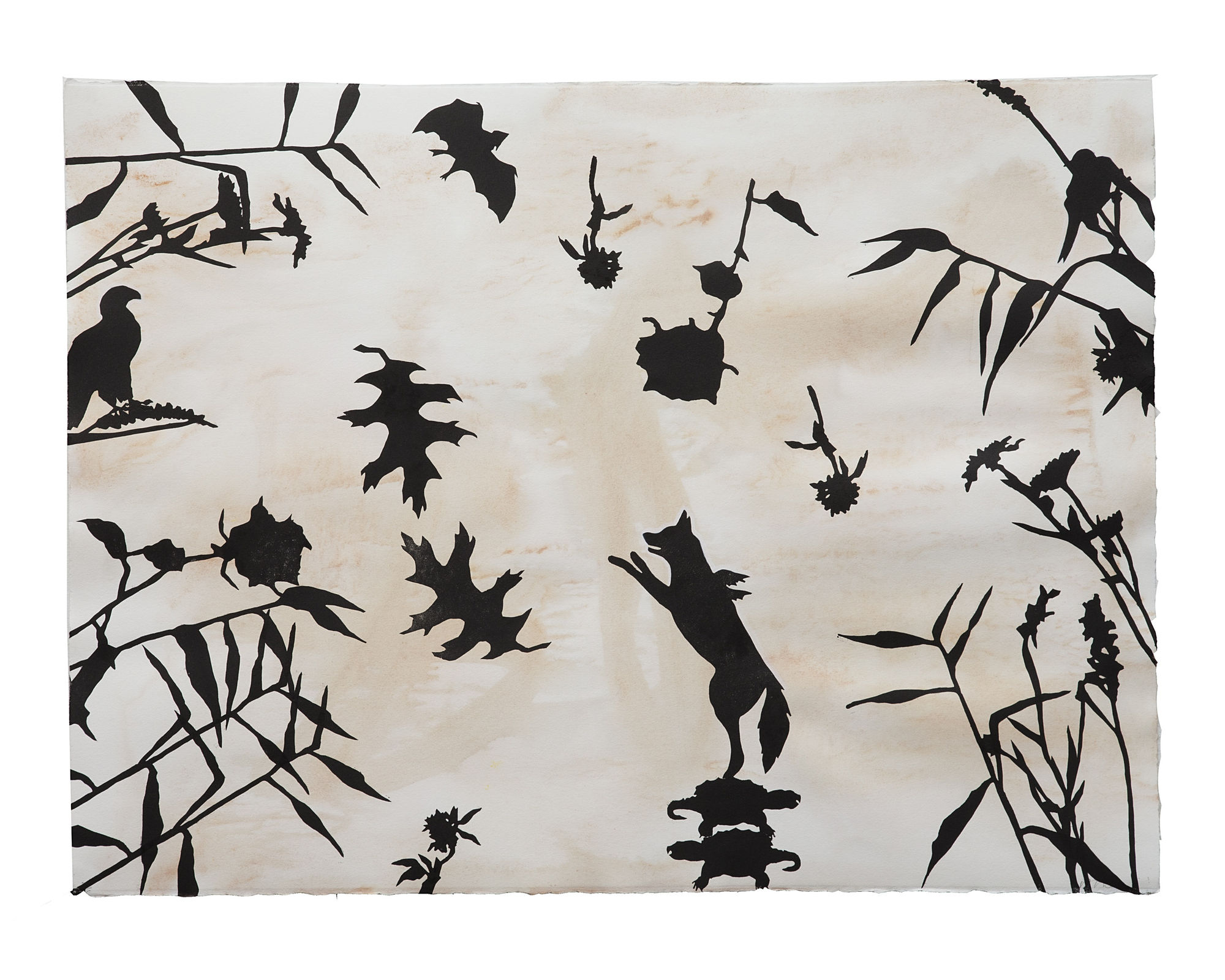 Duane Slick, Arias for a Coyote Opera: Learning to Fly, 2018 monotype, 22 x 30 in