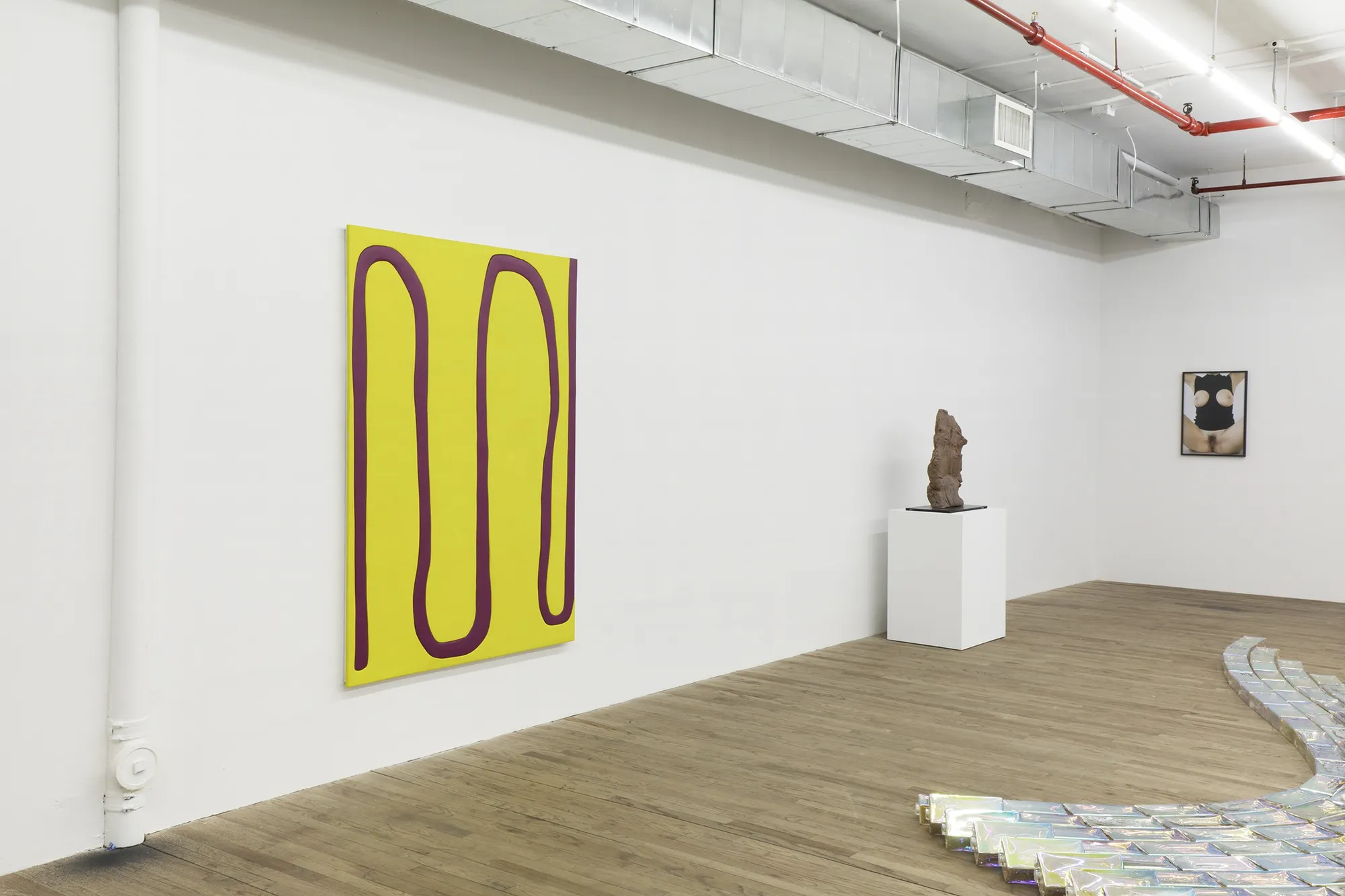 installation view, kaufmann repetto, new york