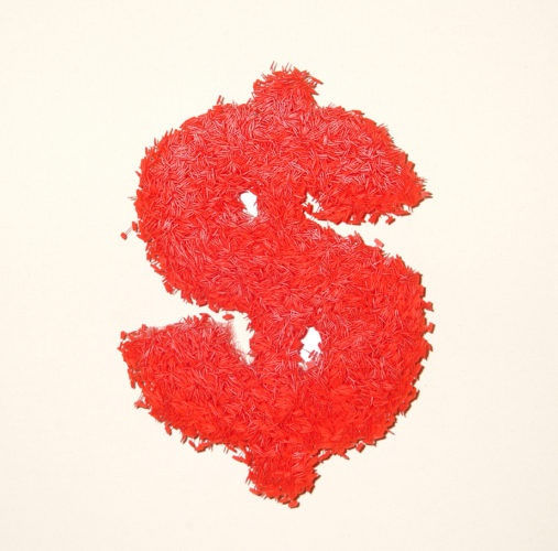 Untitled ($ red), 2005. Plastic retail tag fasterners on raw canvas. 24 x 24 inches.