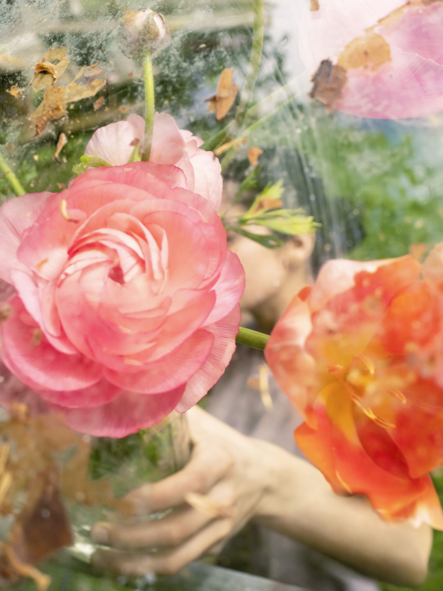 Cig Harvey, Ranunculus (Pressing), 2019 20 x 16 inch chromogenic dye coupler print Edition of 10 40 x 30 inch chromogenic dye coupler print Edition of 7