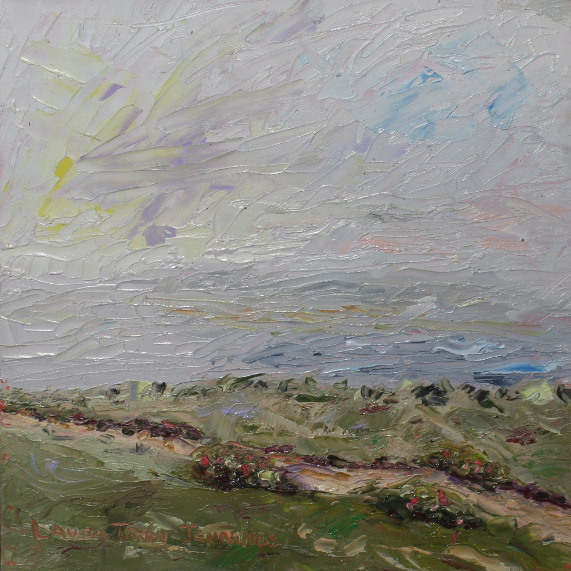 Laura Tyron Jennings: Bedscapes and Beyond