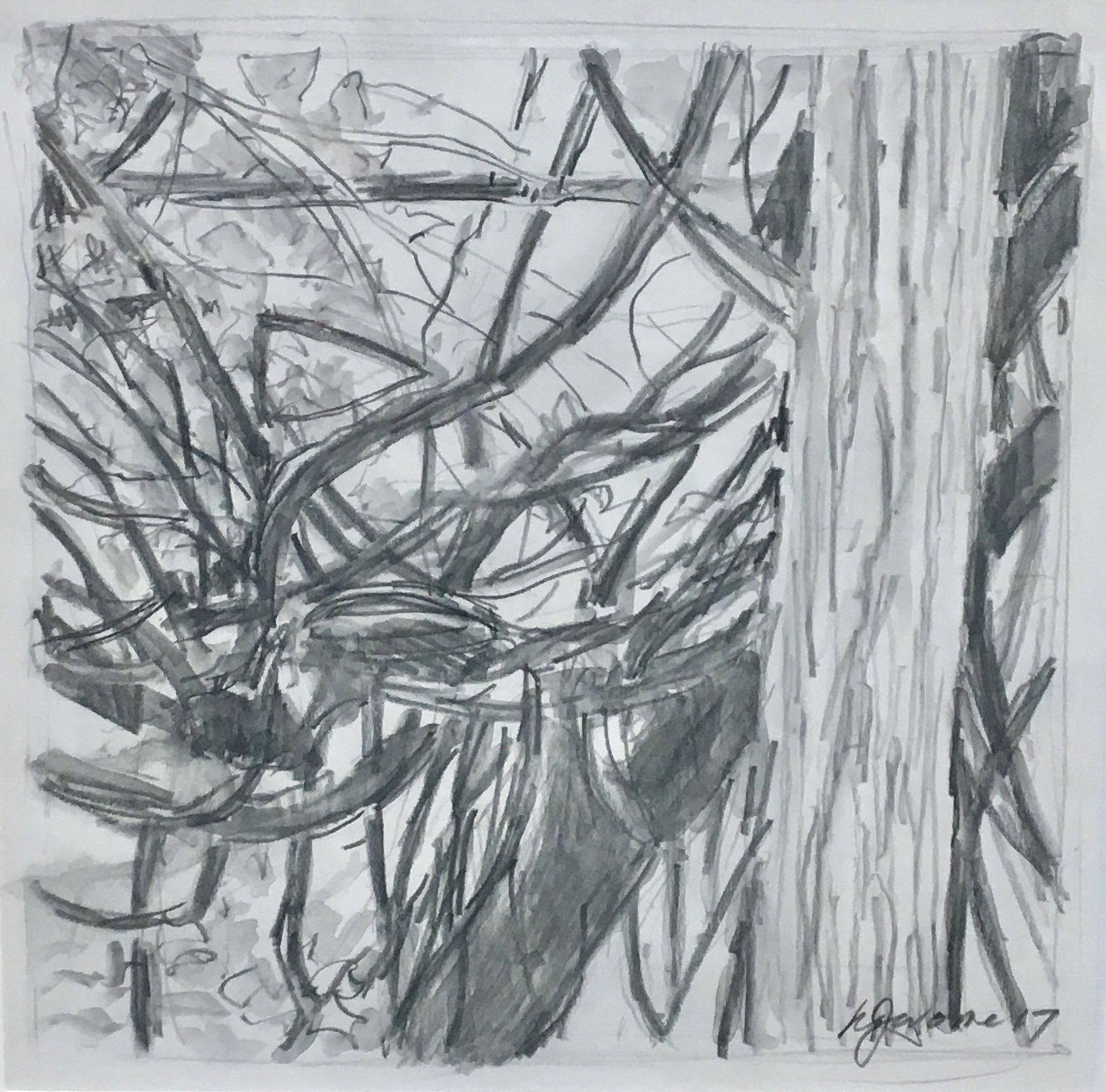 Nina Jerome: Entangled Space