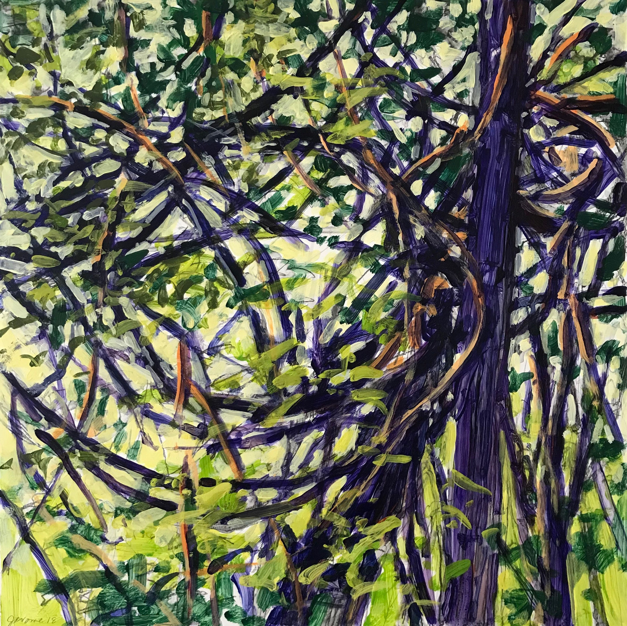 Nina Jerome: Entangled Space