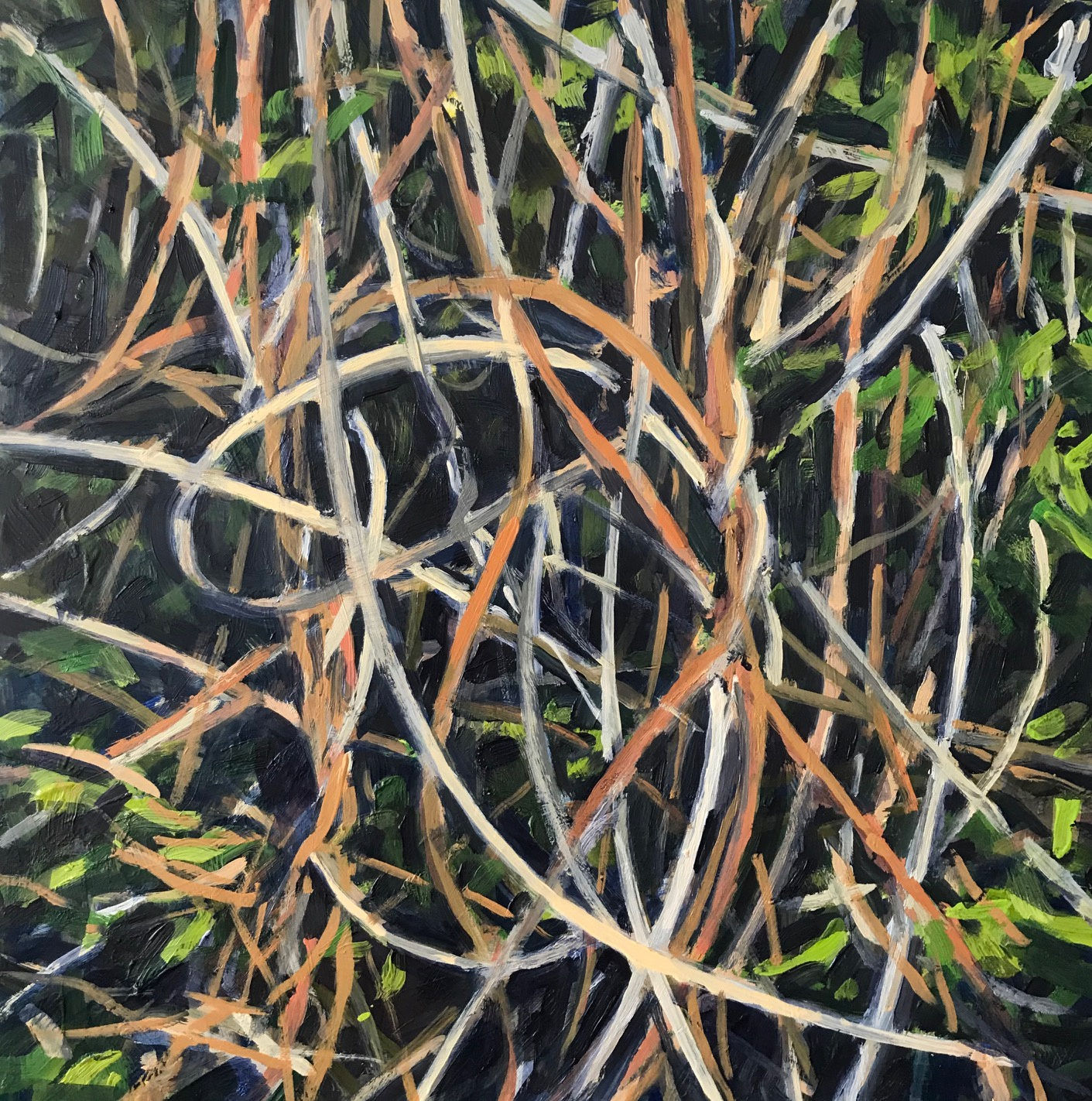 Nina Jerome: Entangled Space