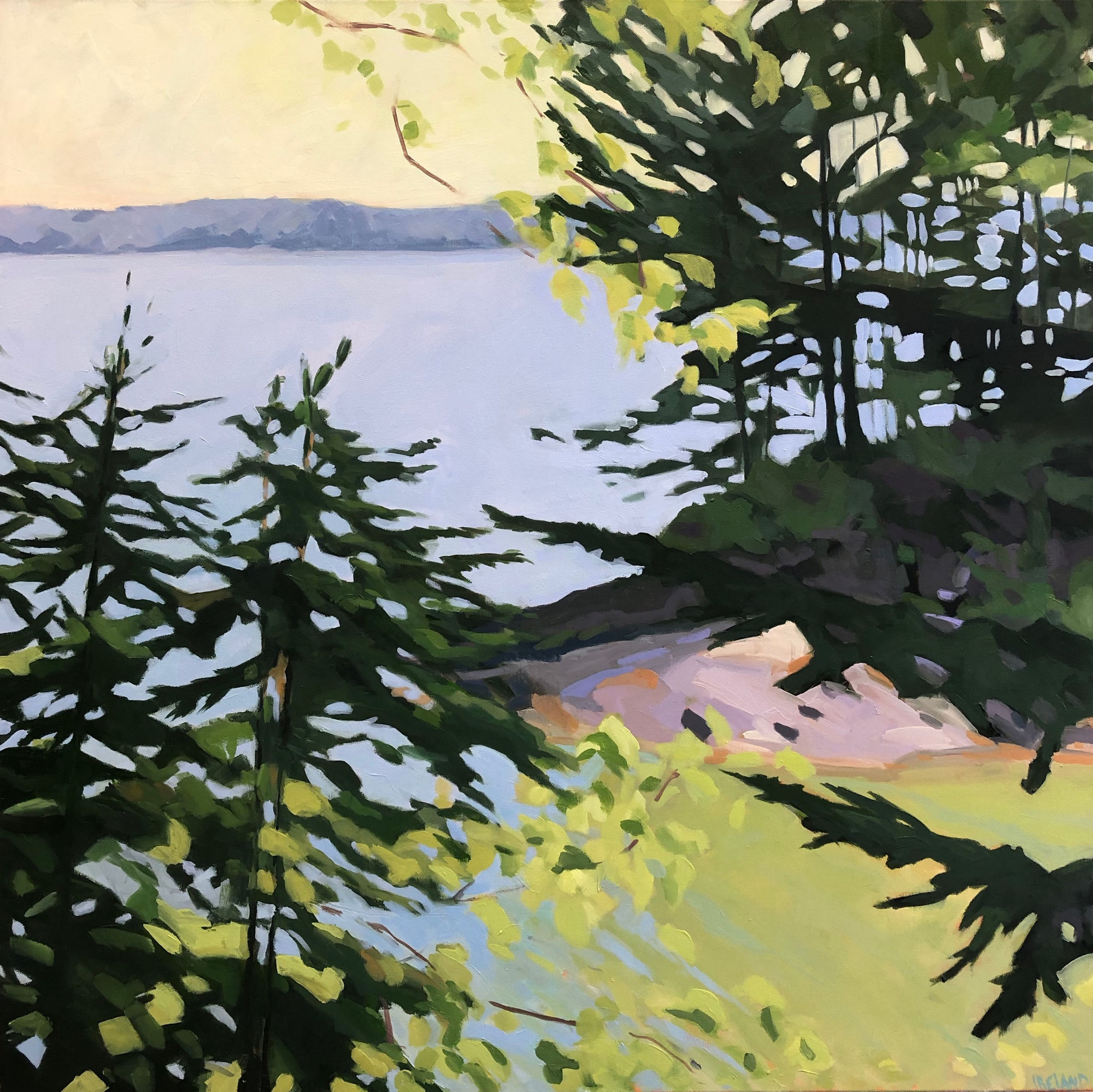 Anne Ireland: Walking Green