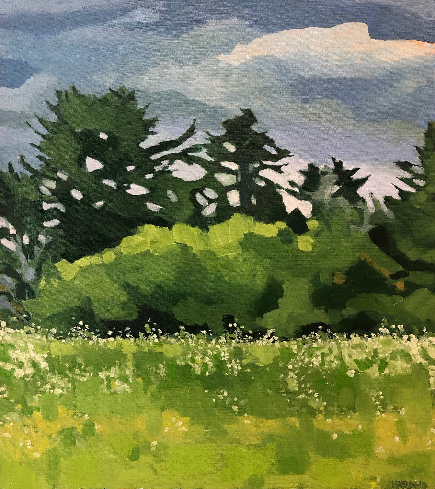 Anne Ireland: Walking Green