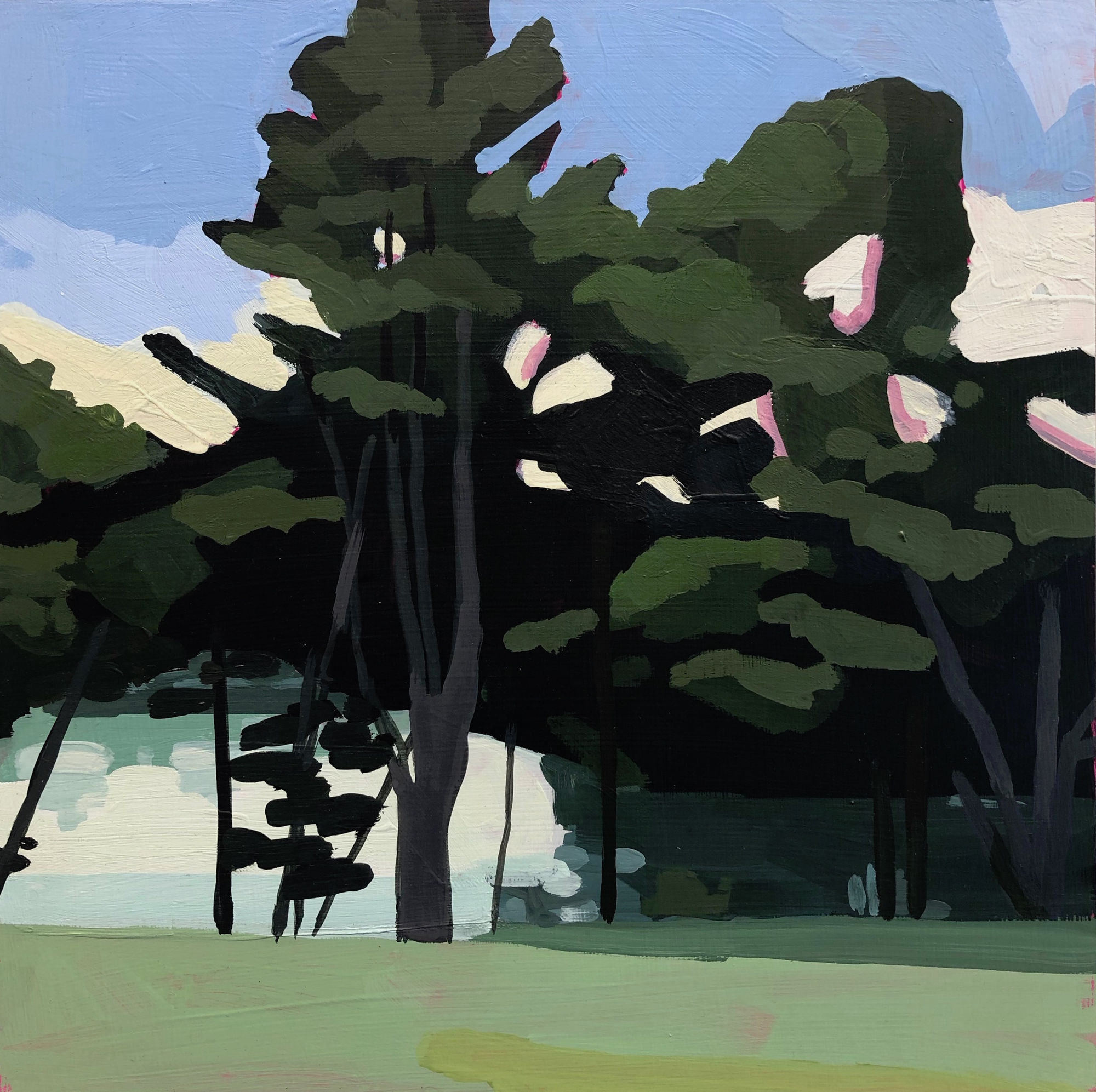 Anne Ireland: Walking Green