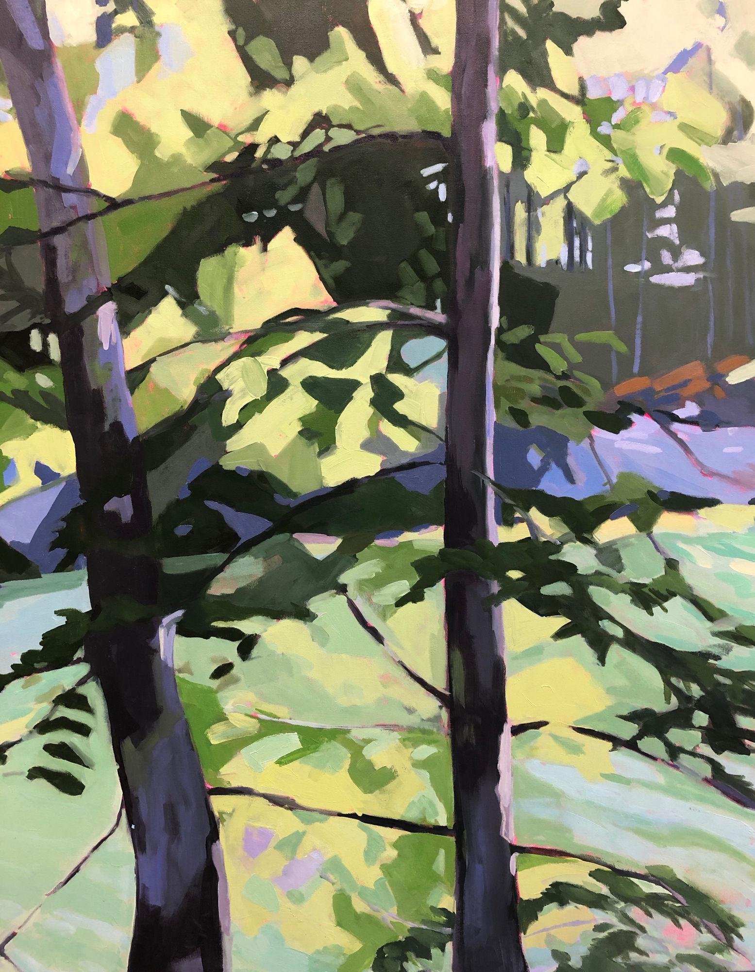 Anne Ireland: Walking Green