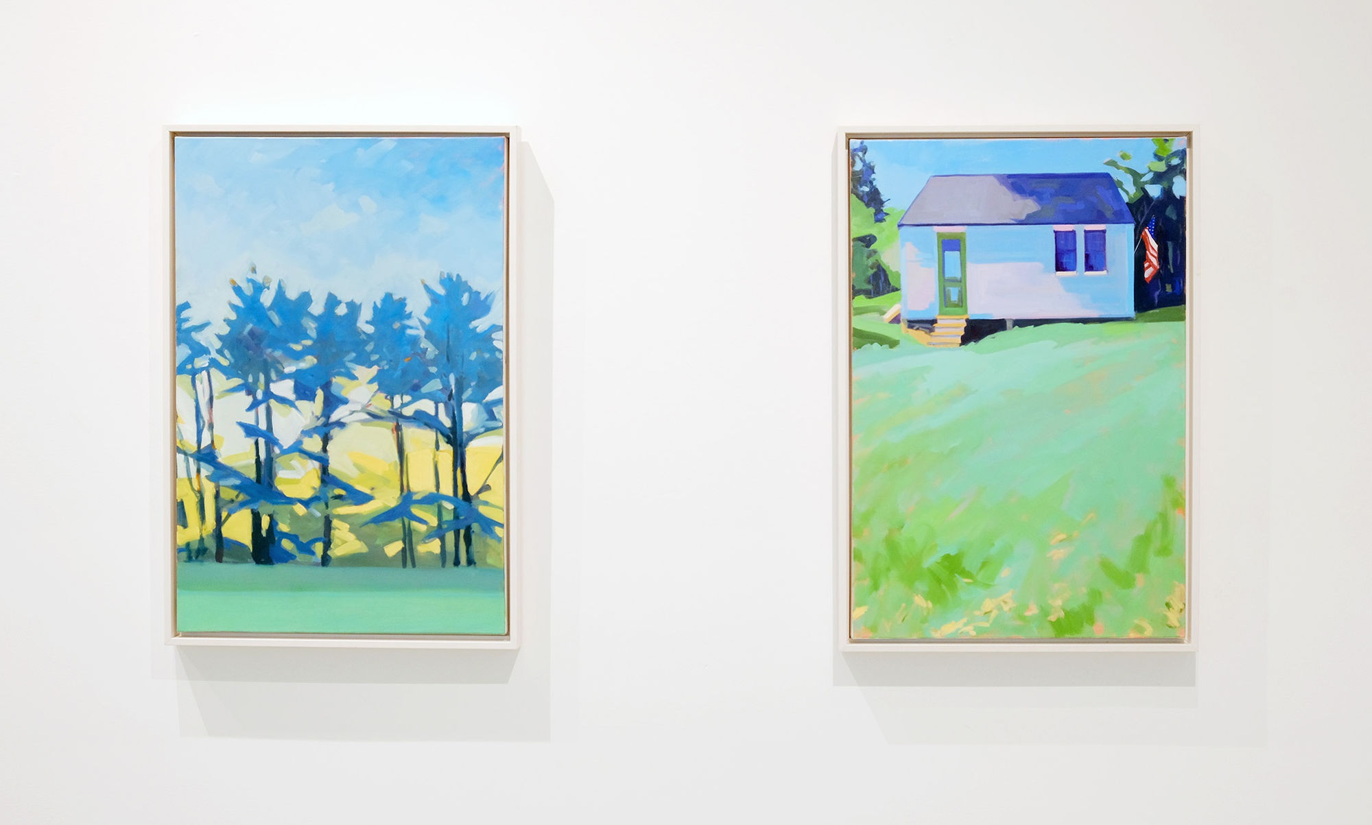 Anne Ireland: New Works