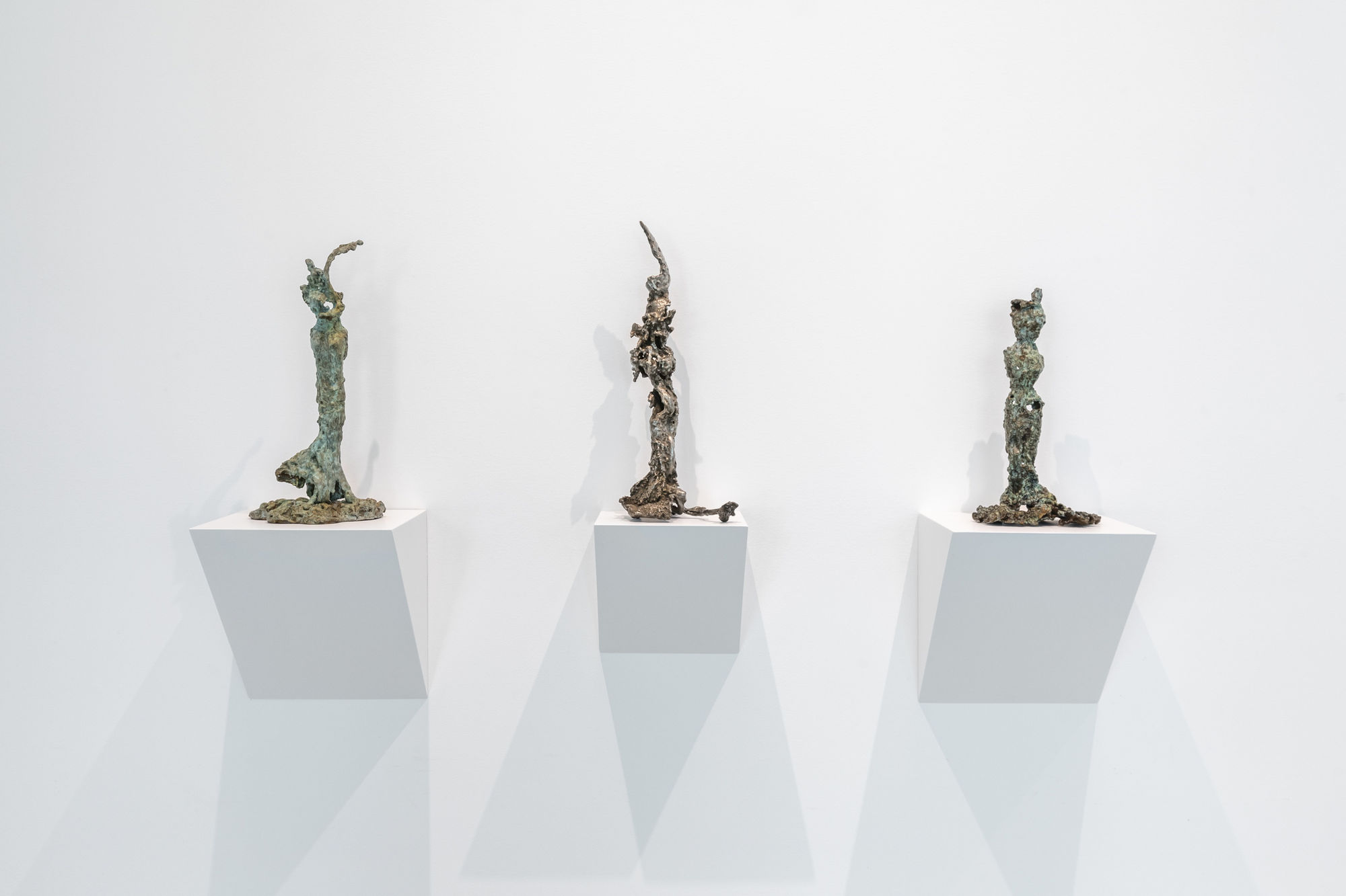 Celeste Roberge: Women of the Gulf of Maine