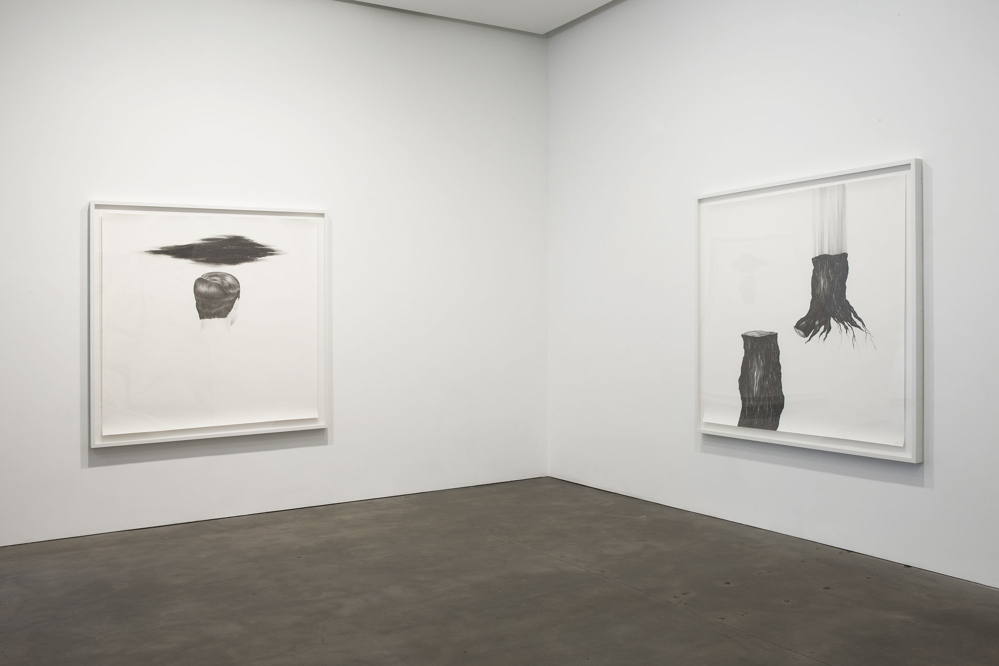 Installation view of two Robyn O'Neil drawings exhibited at Susan Inglett Gallery