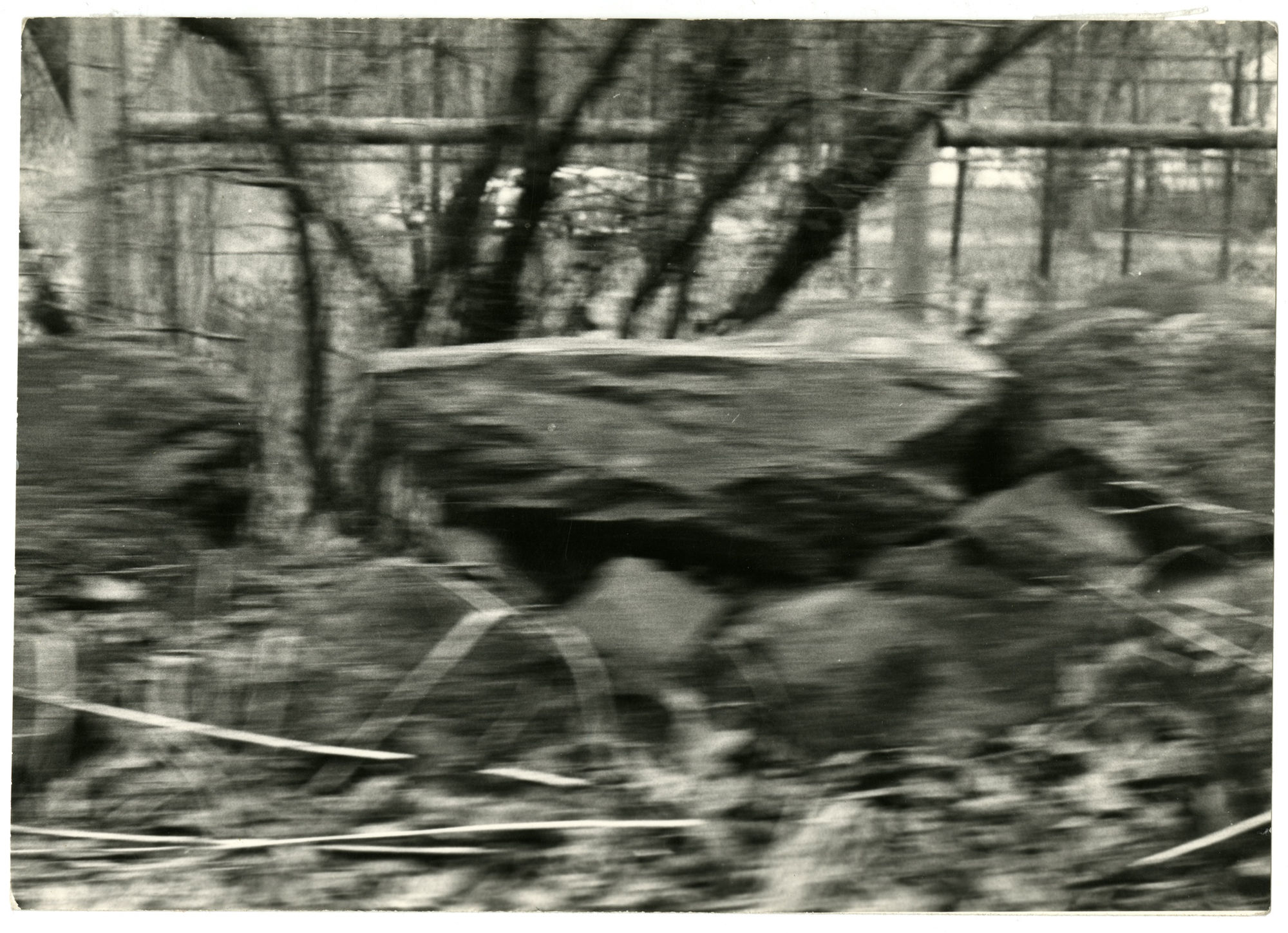 Black and white blurry landscape image