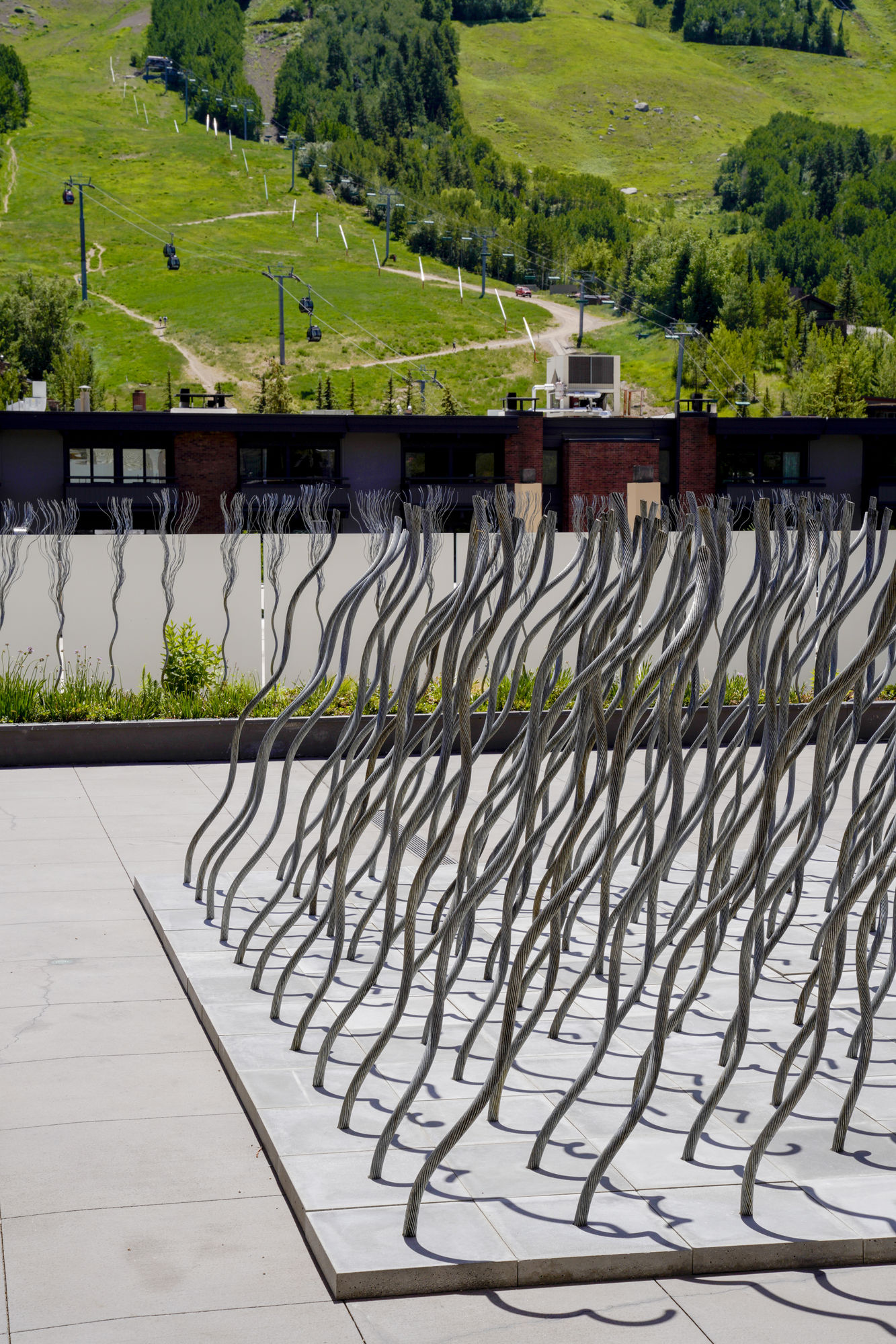 Photo of Maren Hassinger steel rope installation in Aspen, Colorado