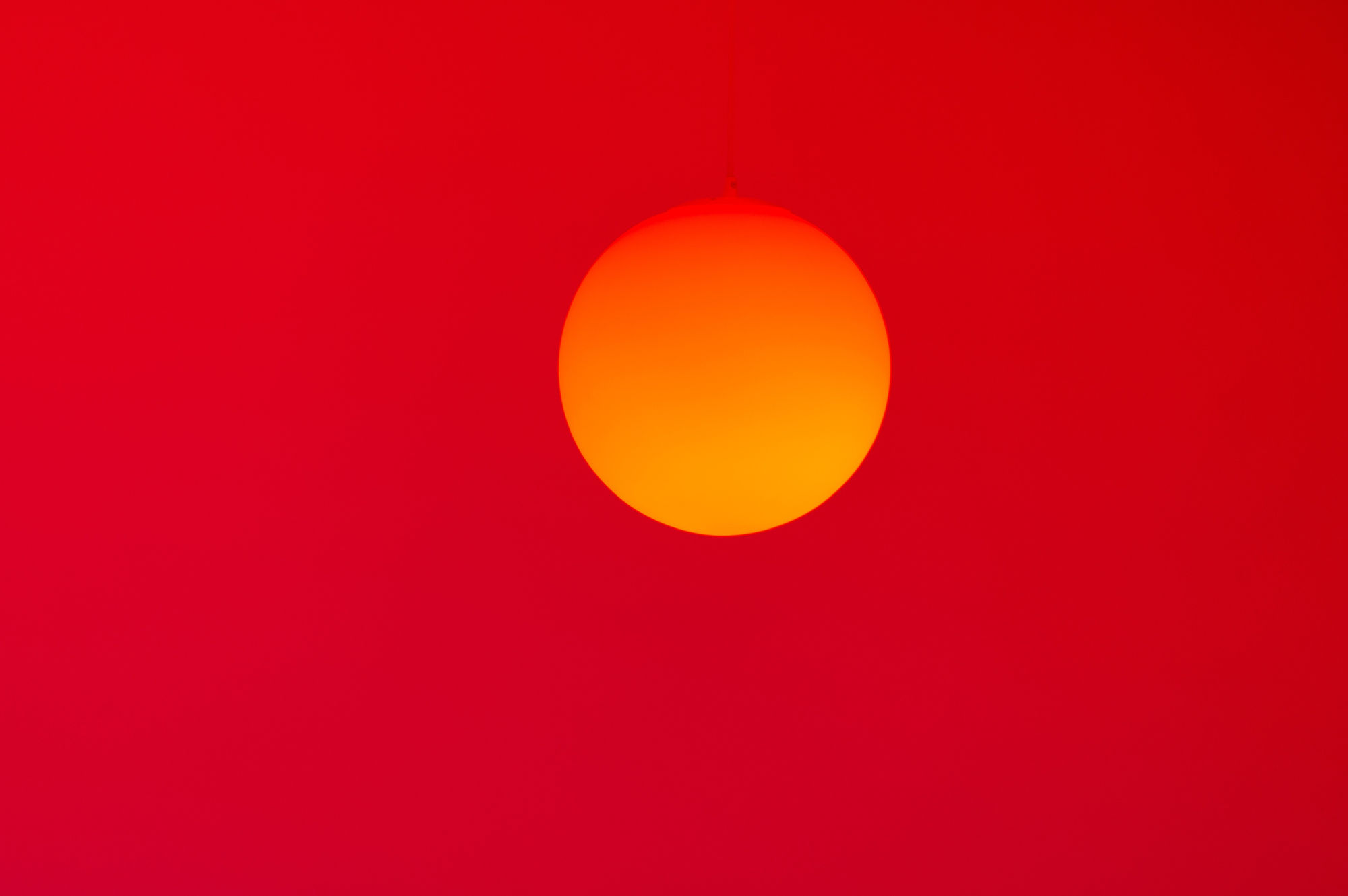 Takuro Tamayama & Tiger Tateishi