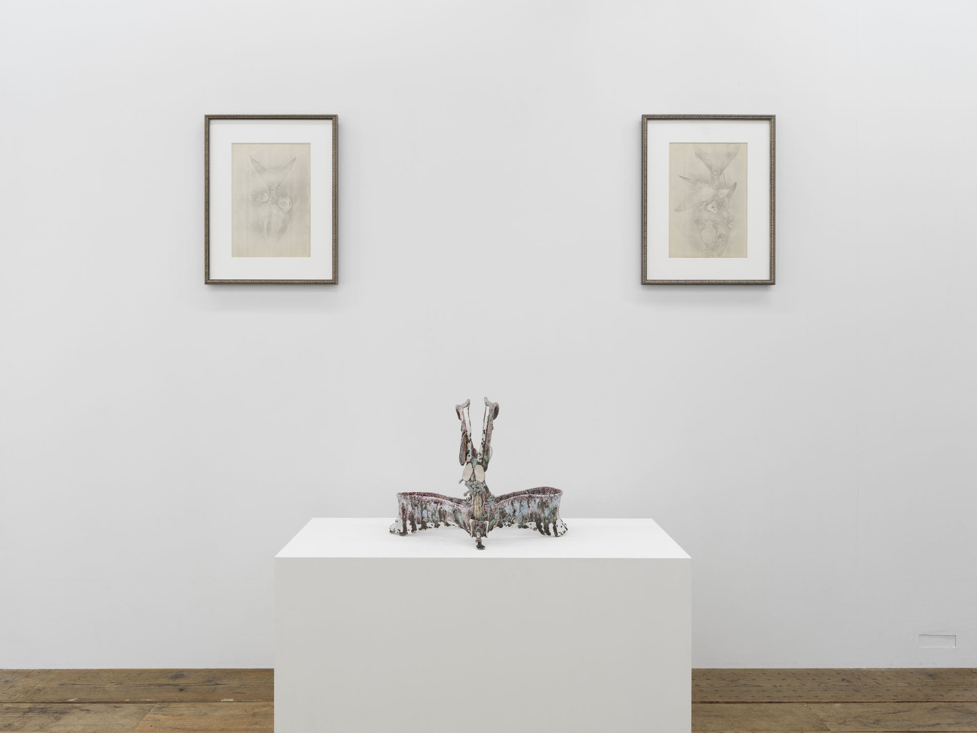 Chimeras: Sawako Goda and Kentaro Kawabata