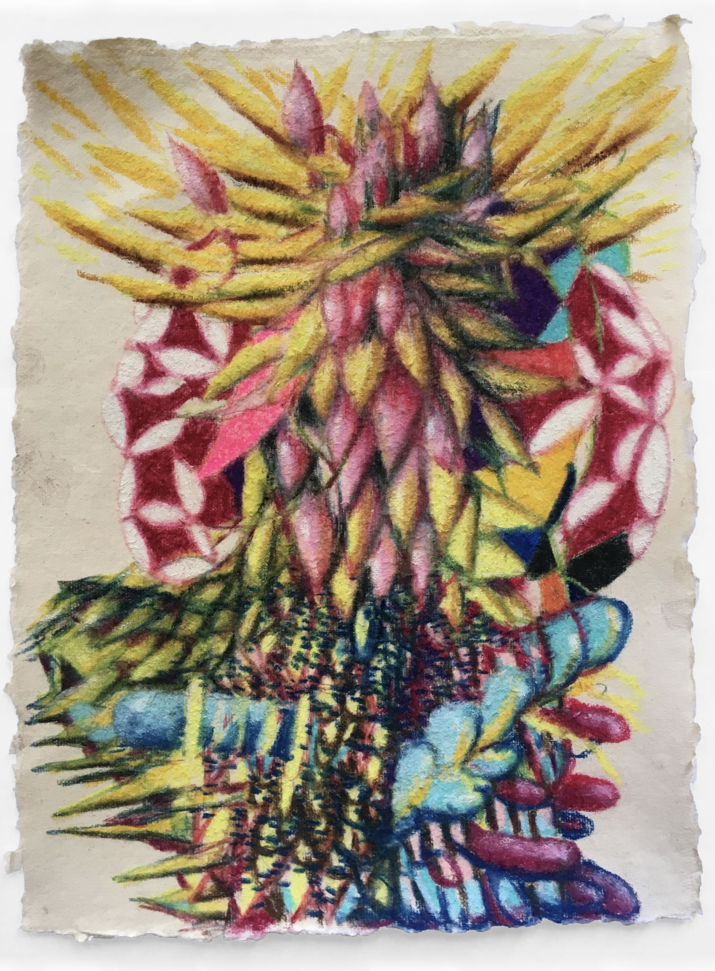 Mie Yim quarantine drawing pastel on paper Marcia Wood Gallery