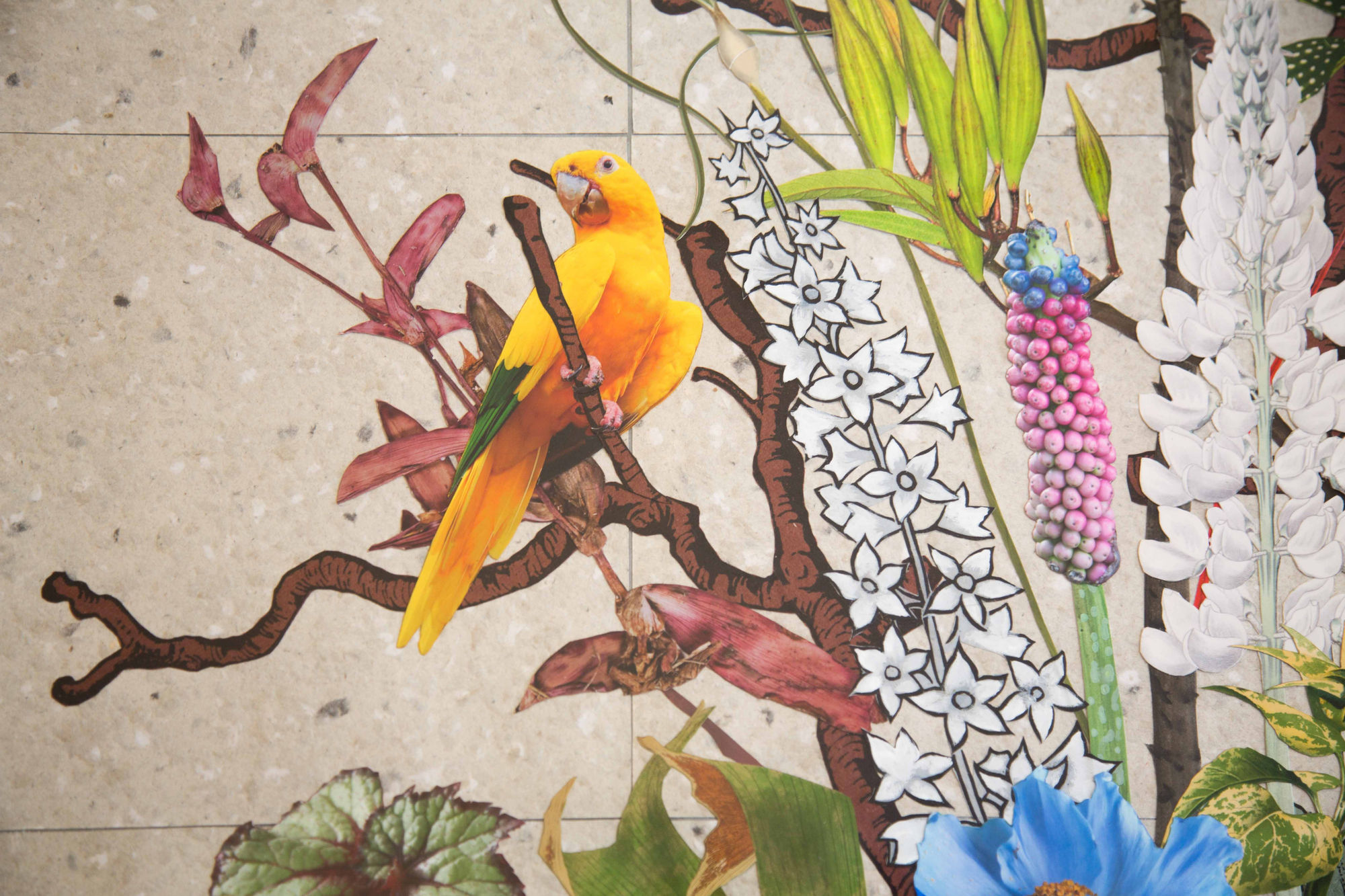 Natural Selection: New Botanical Collages