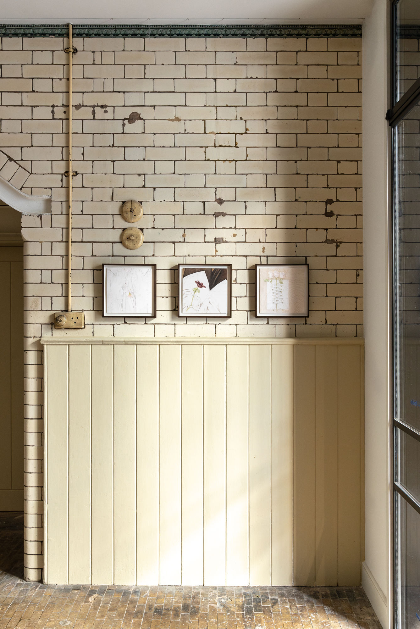 To Make Shirts from Anemones