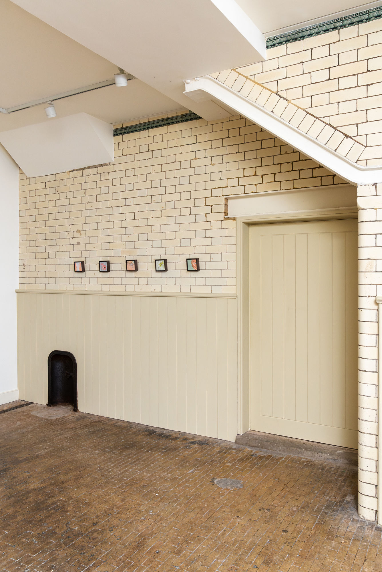 To Make Shirts from Anemones