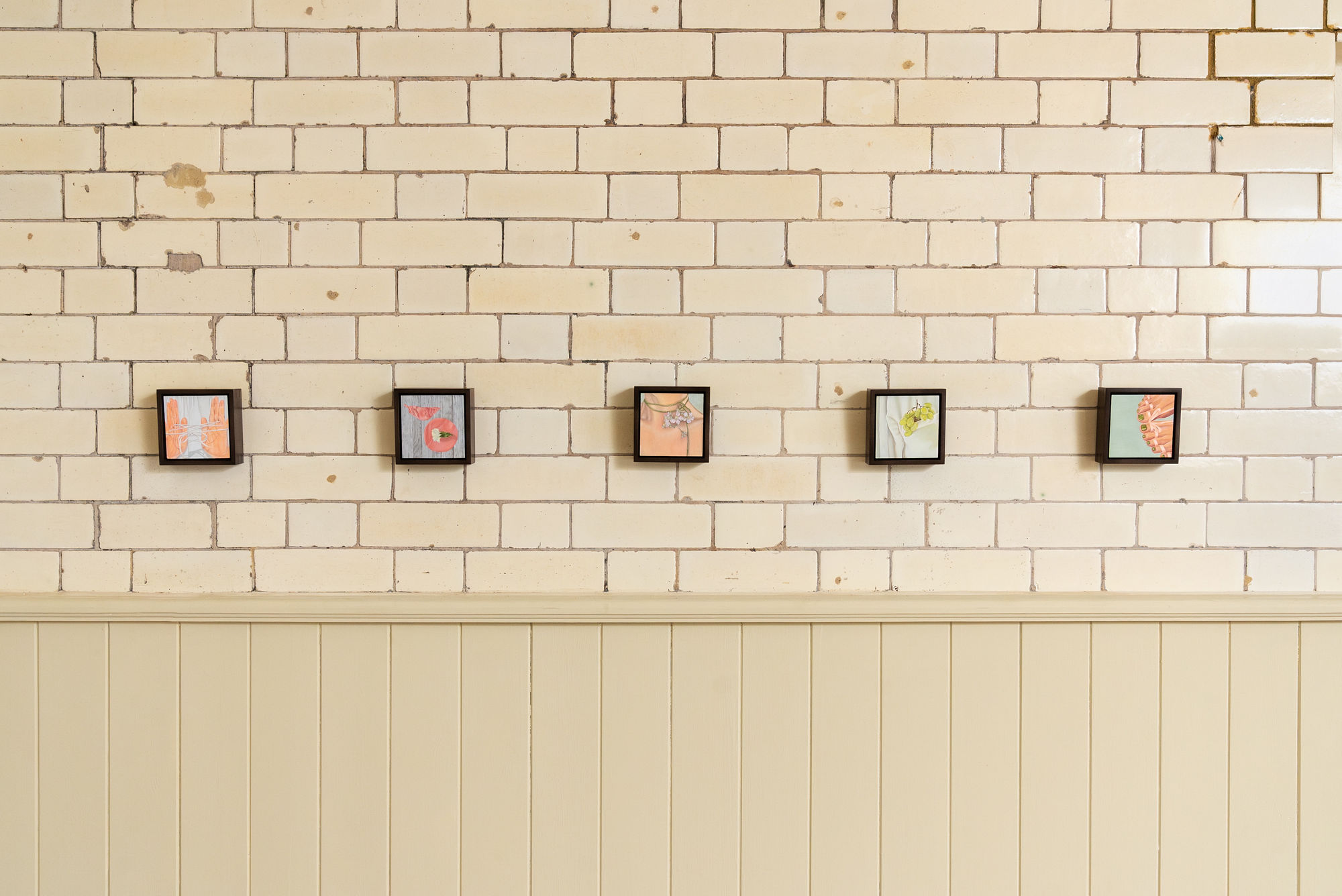 To Make Shirts from Anemones