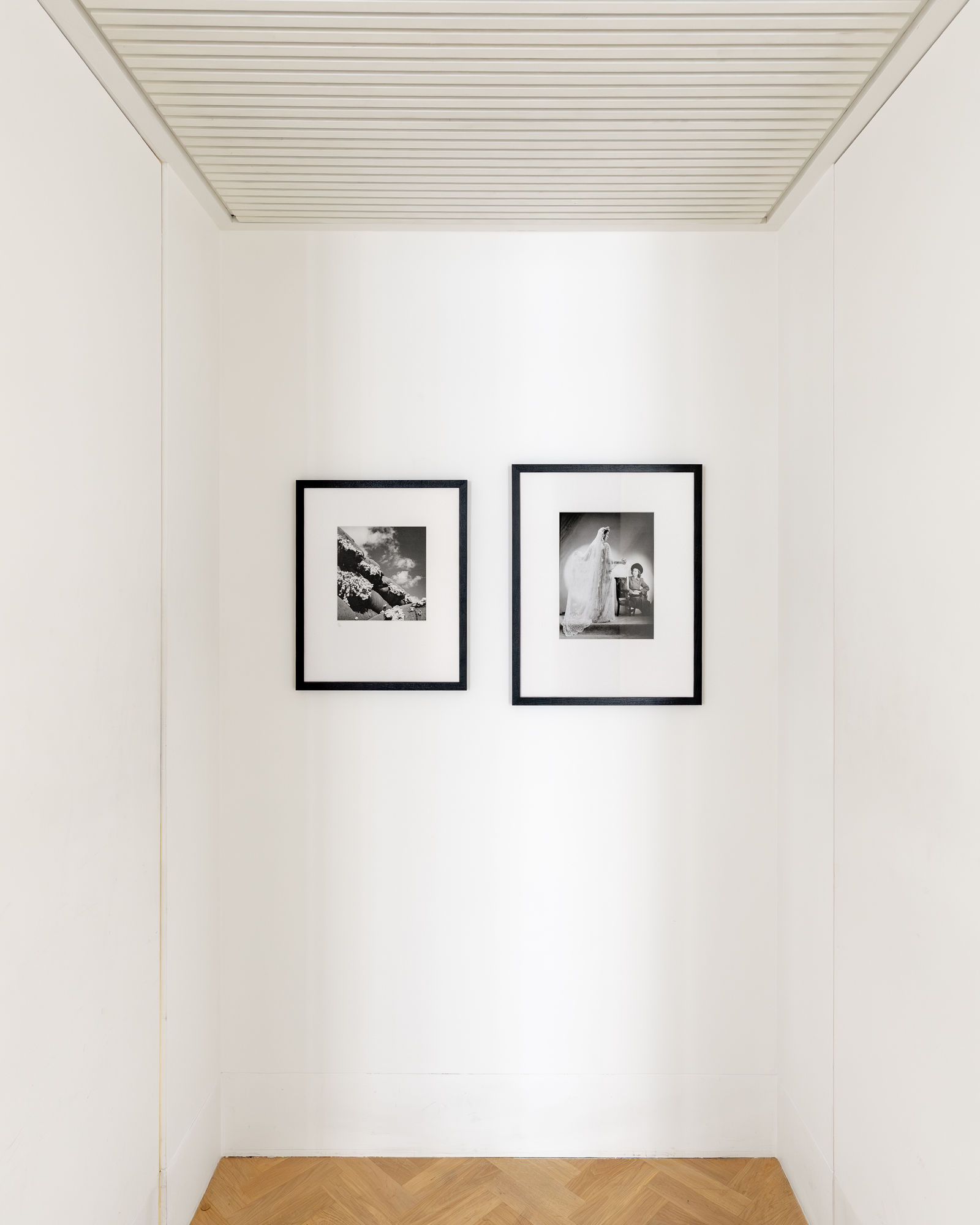 Performance of a Lifetime