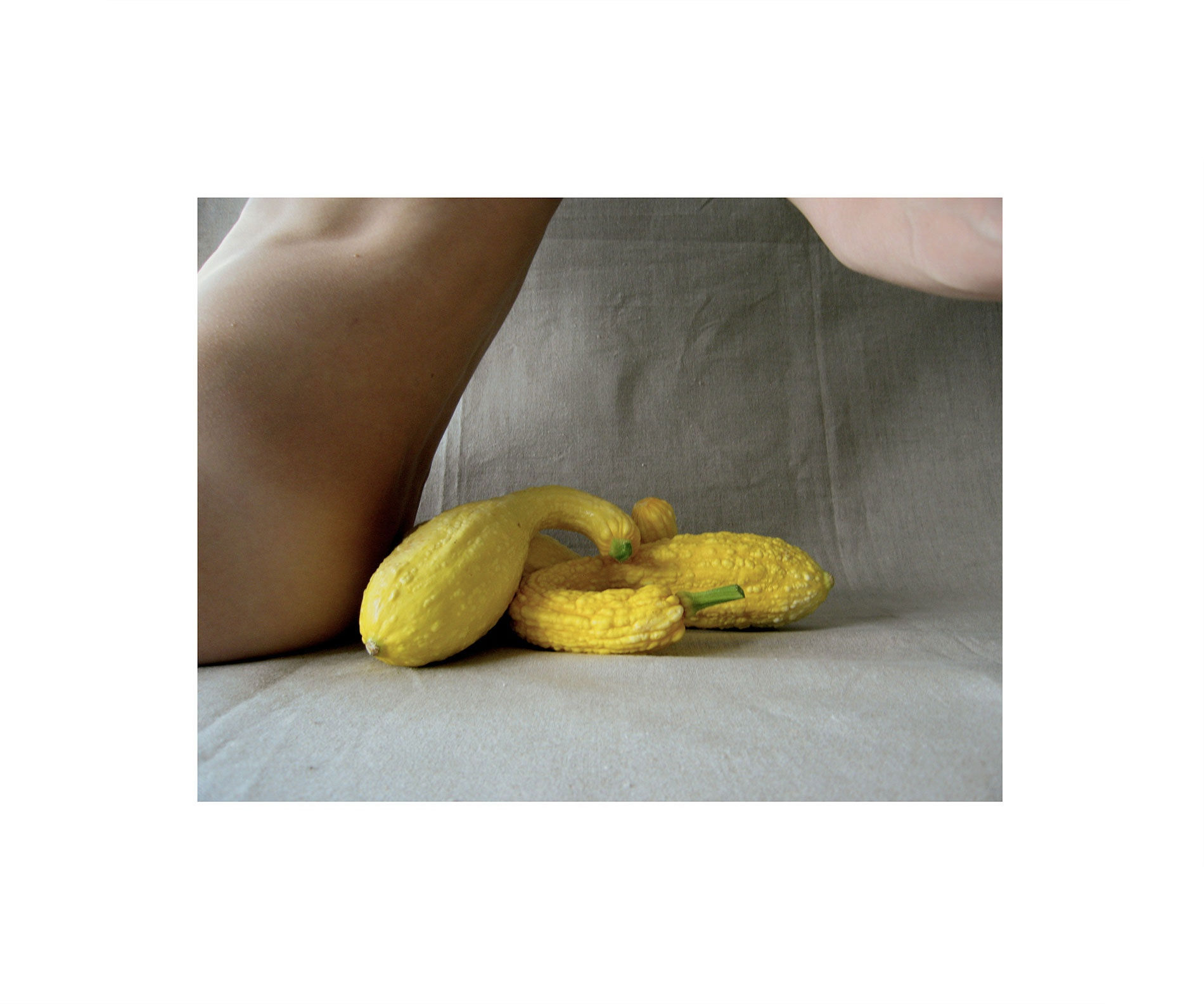 Georgie Hopton Yellow Crookneck Zucchini, 2006 Archival inkjet print on fibre paper. Signed verso and numbered from the edition of 4, with 2 artist proofs. 15.2 x 20.2 cm (6 x 8 in)