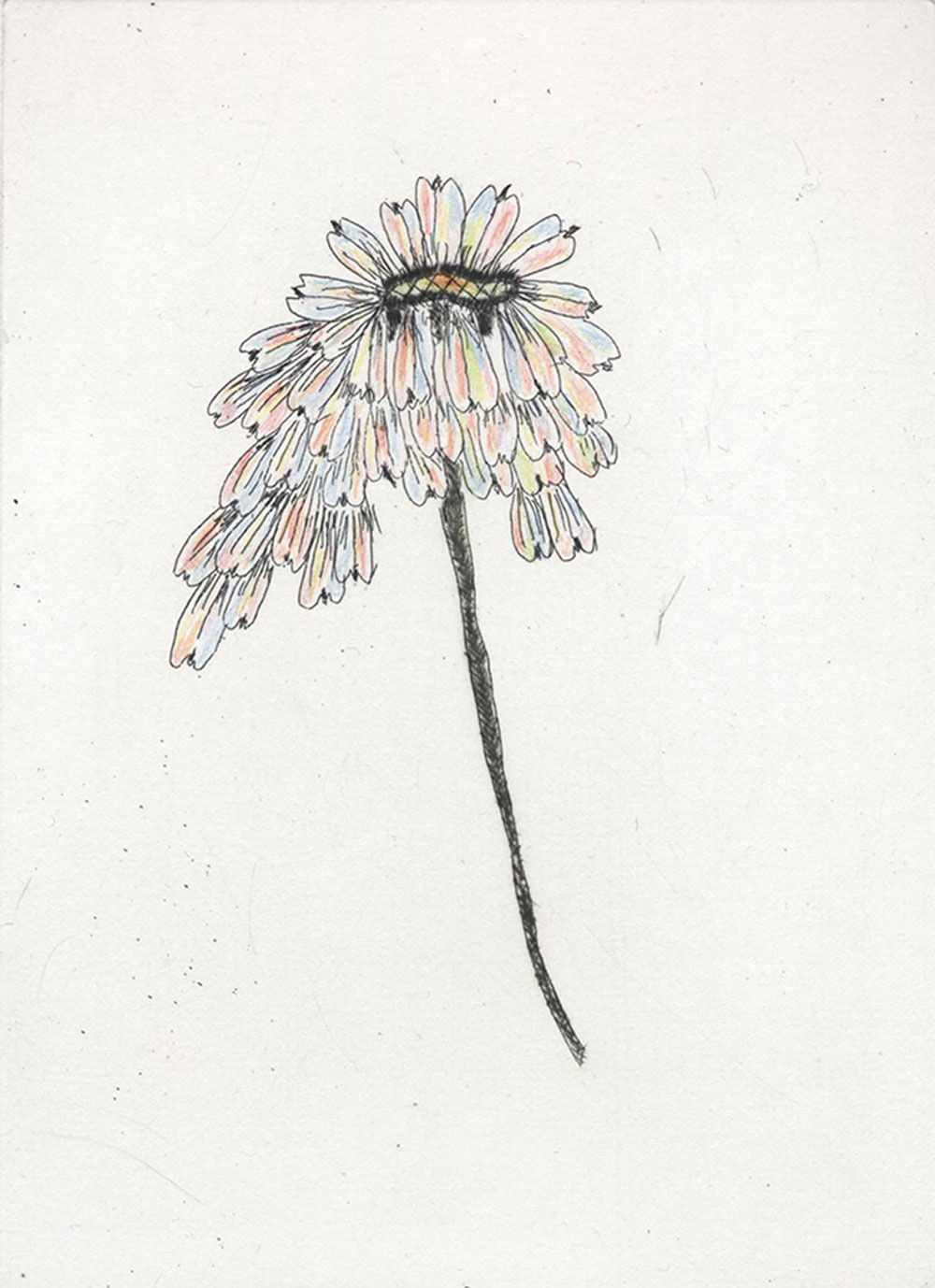 Kiki Smith Untitled (from Escapades), 2011 Etching with hand-colouring. Signed in pencil and numbered 17 from the edition of 18, with 5 artist's proofs. 38.1 x 27.94 cm (15 x 11 in)