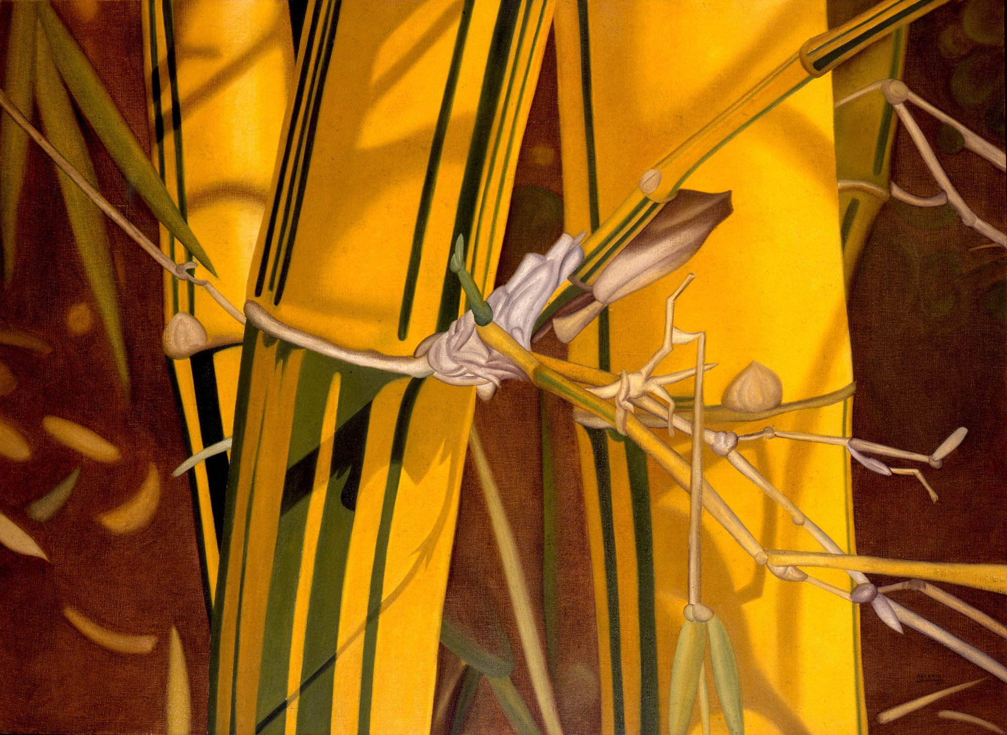 Antonio Henrique Amaral, Bamboo Grove, 1977